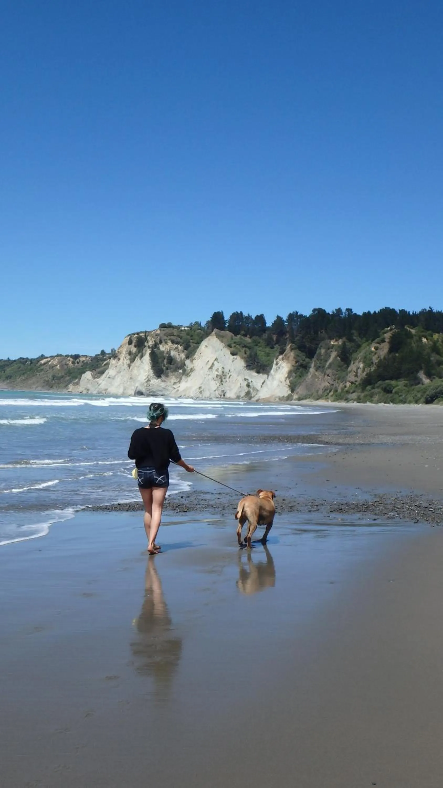Hiking in Tree House Lodge Bed & Breakfast
