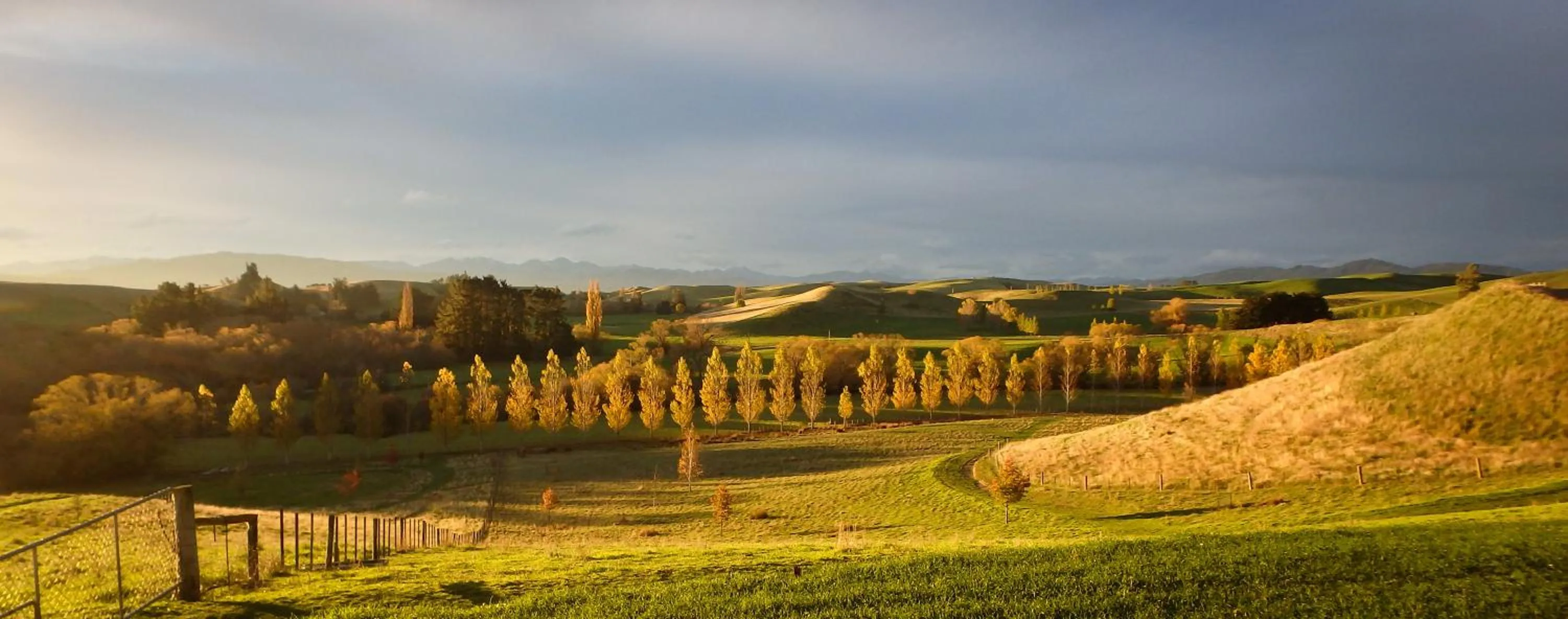 Mountain view in Tree House Lodge Bed & Breakfast