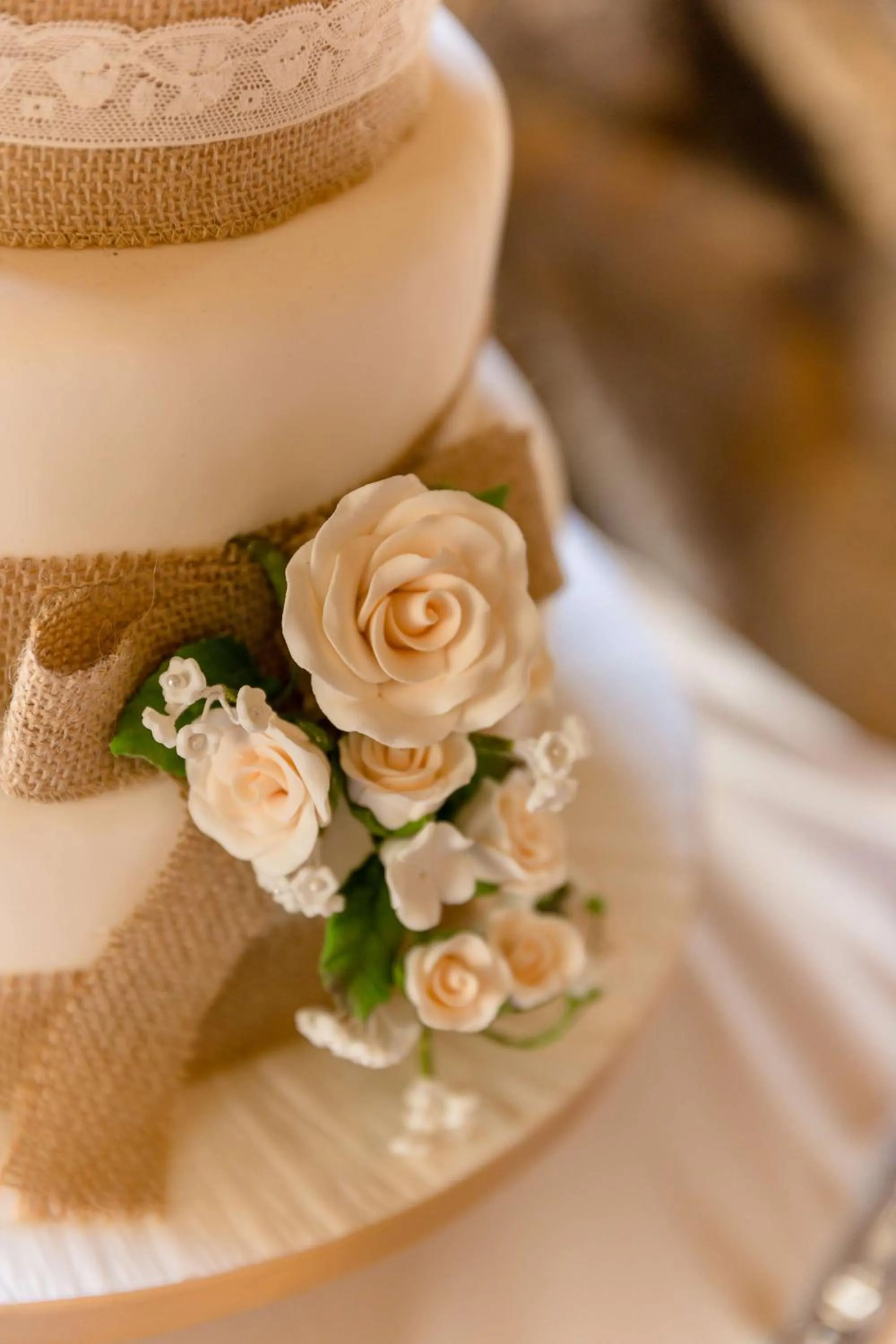 wedding in St Helen's Hotel, Dublin