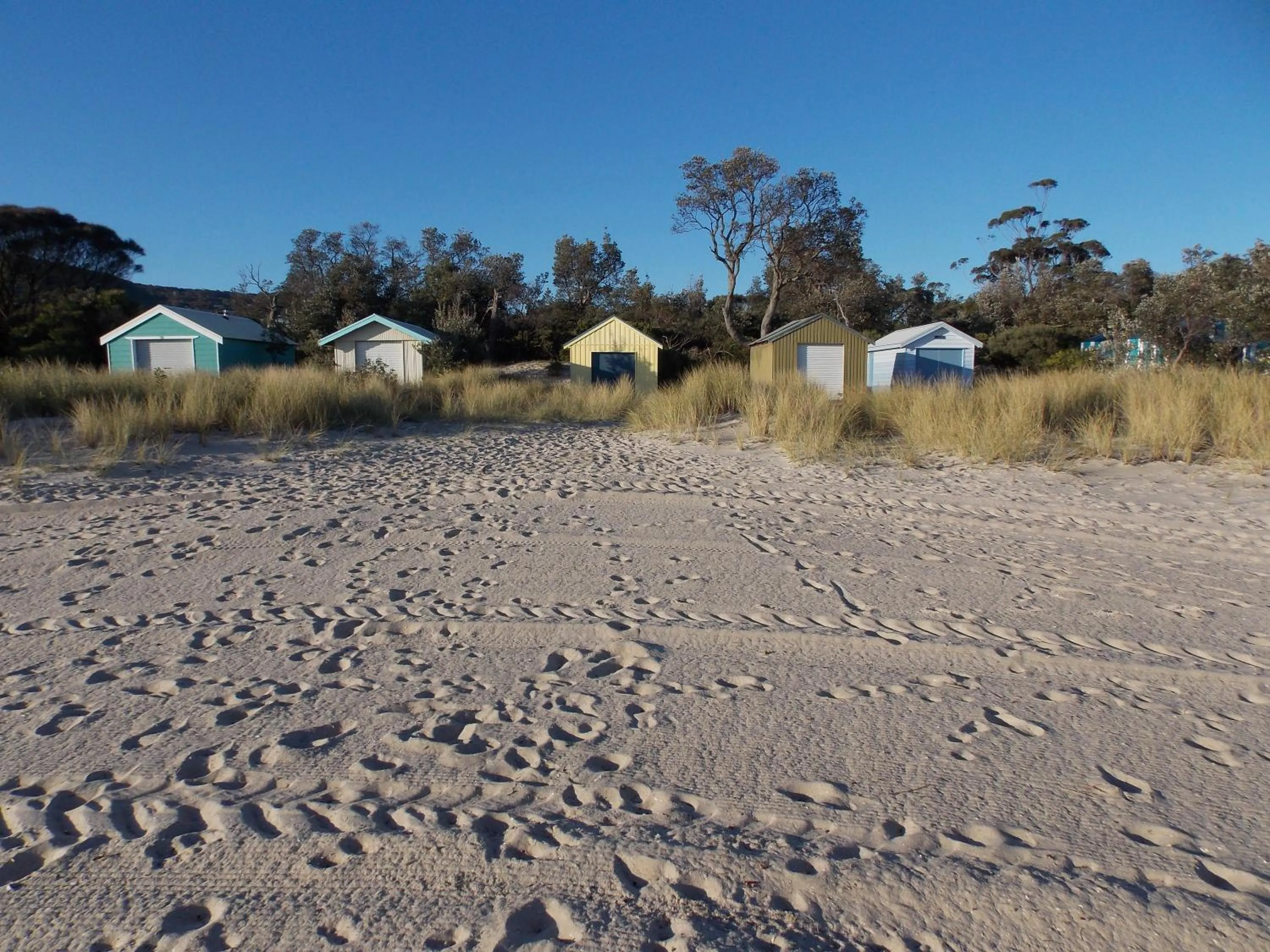 Beach in Port McCrae