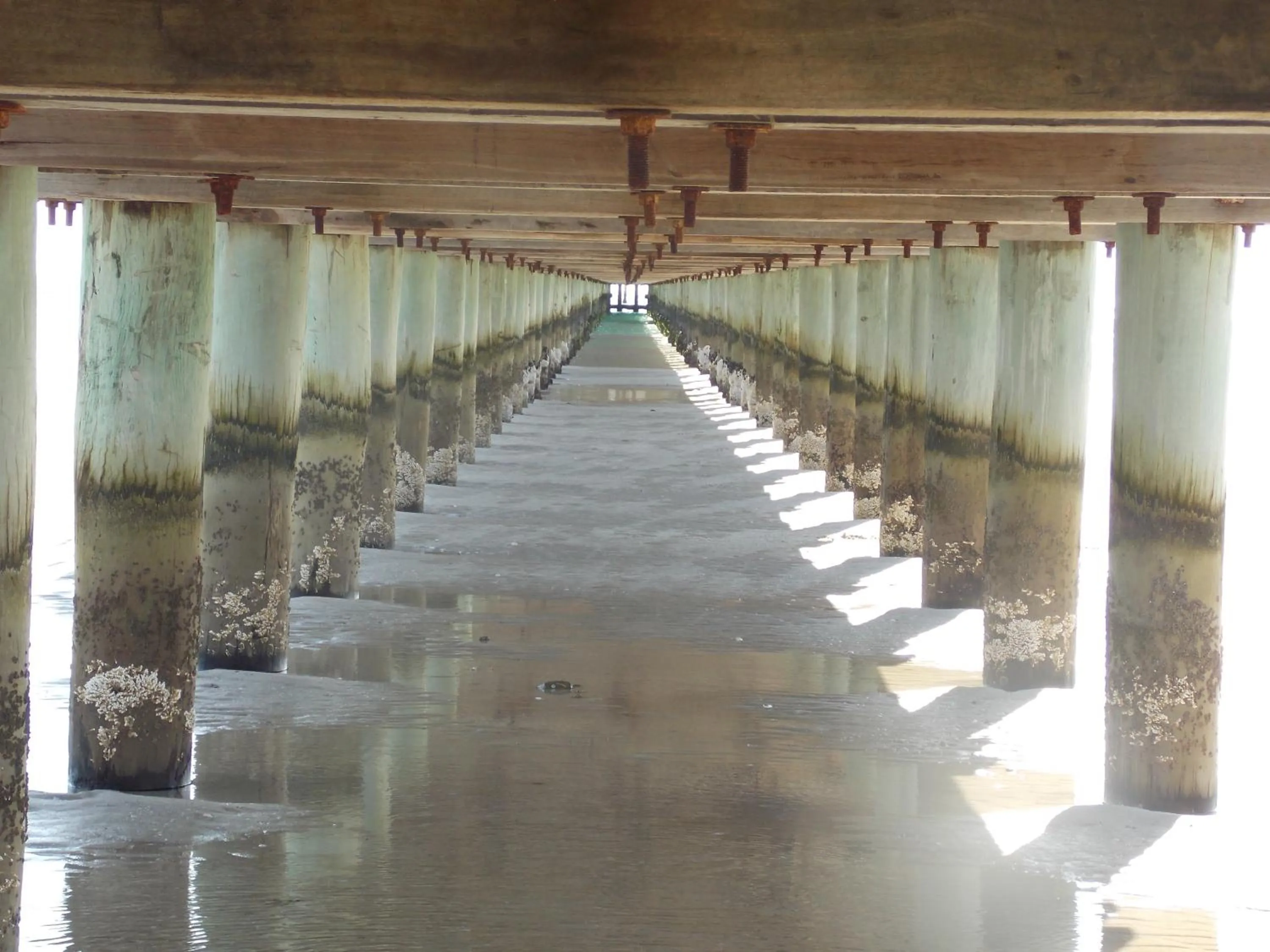 Beach in Port McCrae