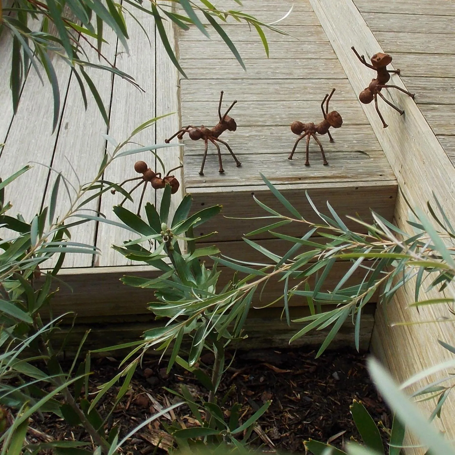 Garden view in Port McCrae