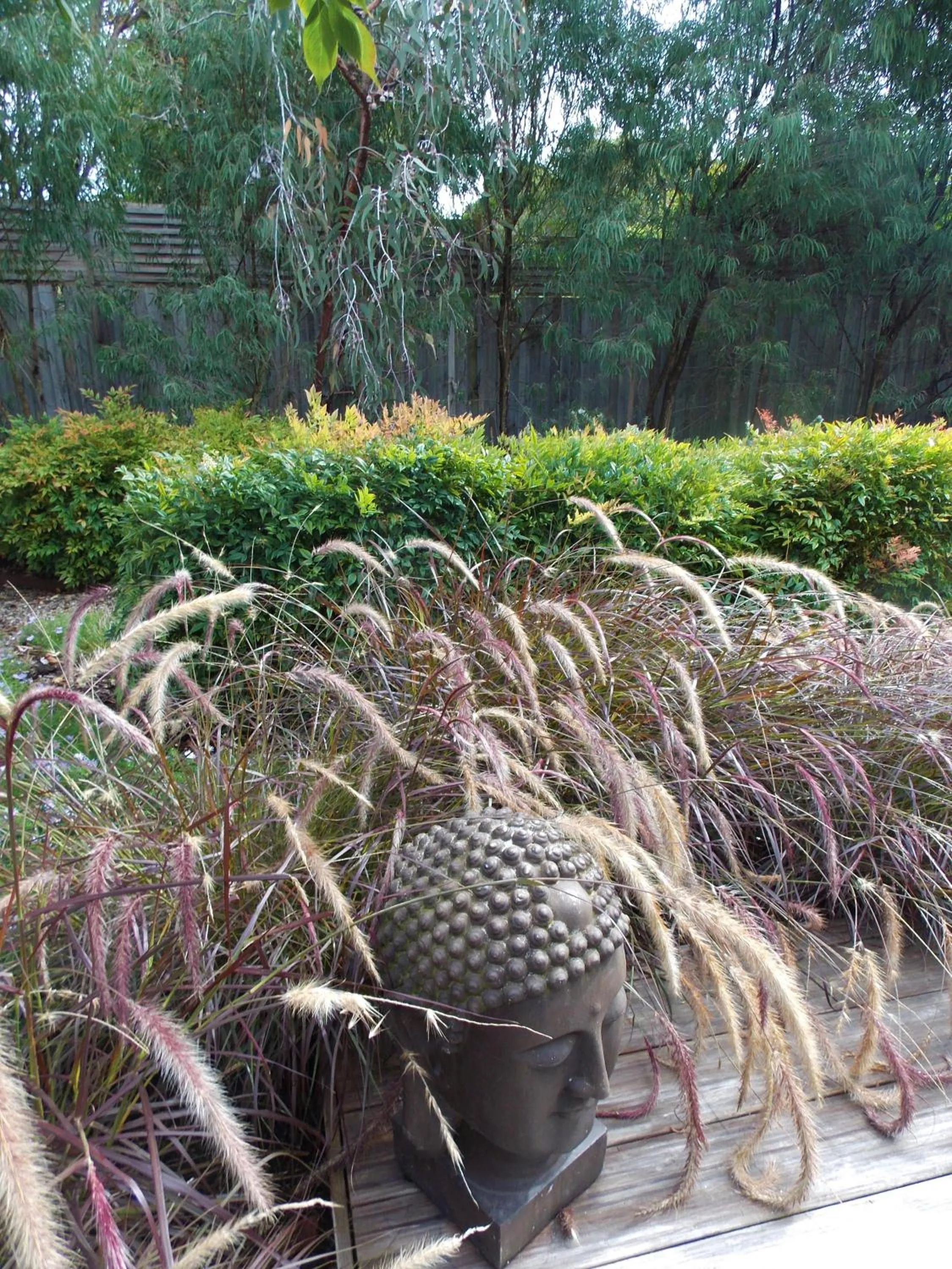 Garden view in Port McCrae