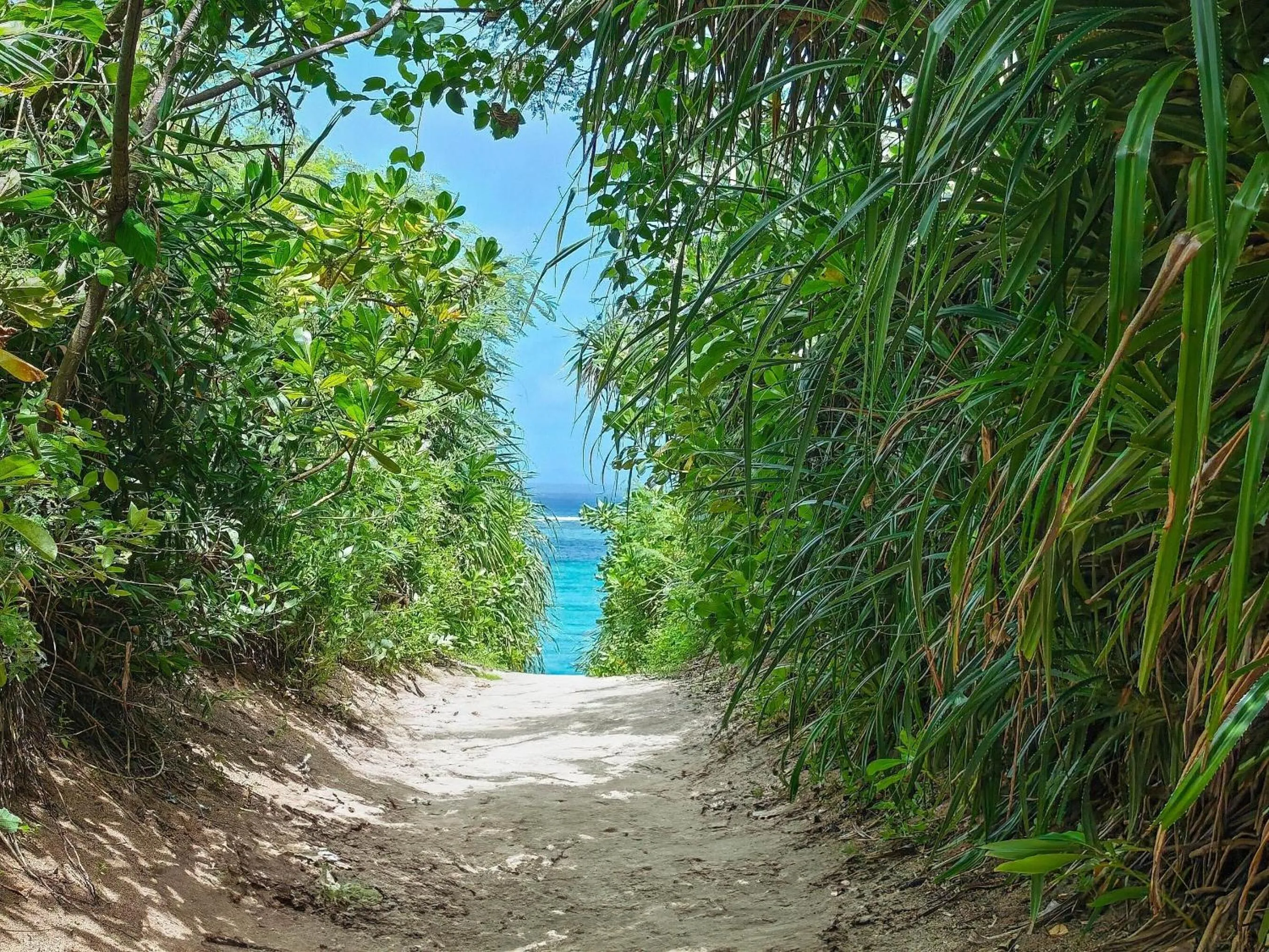 Off site in Nagahama Beach Resort Kanon