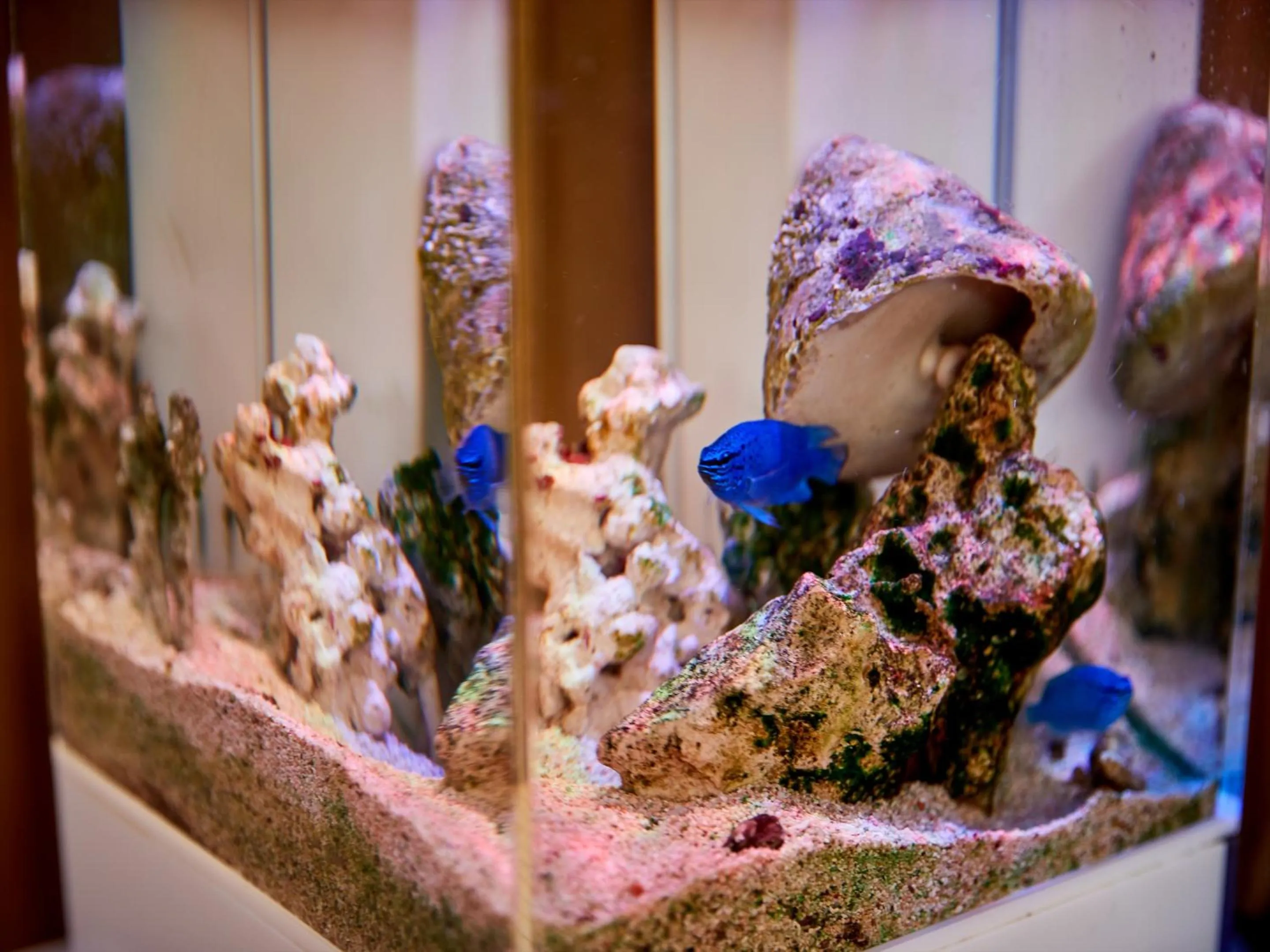 Decorative detail in Nagahama Beach Resort Kanon