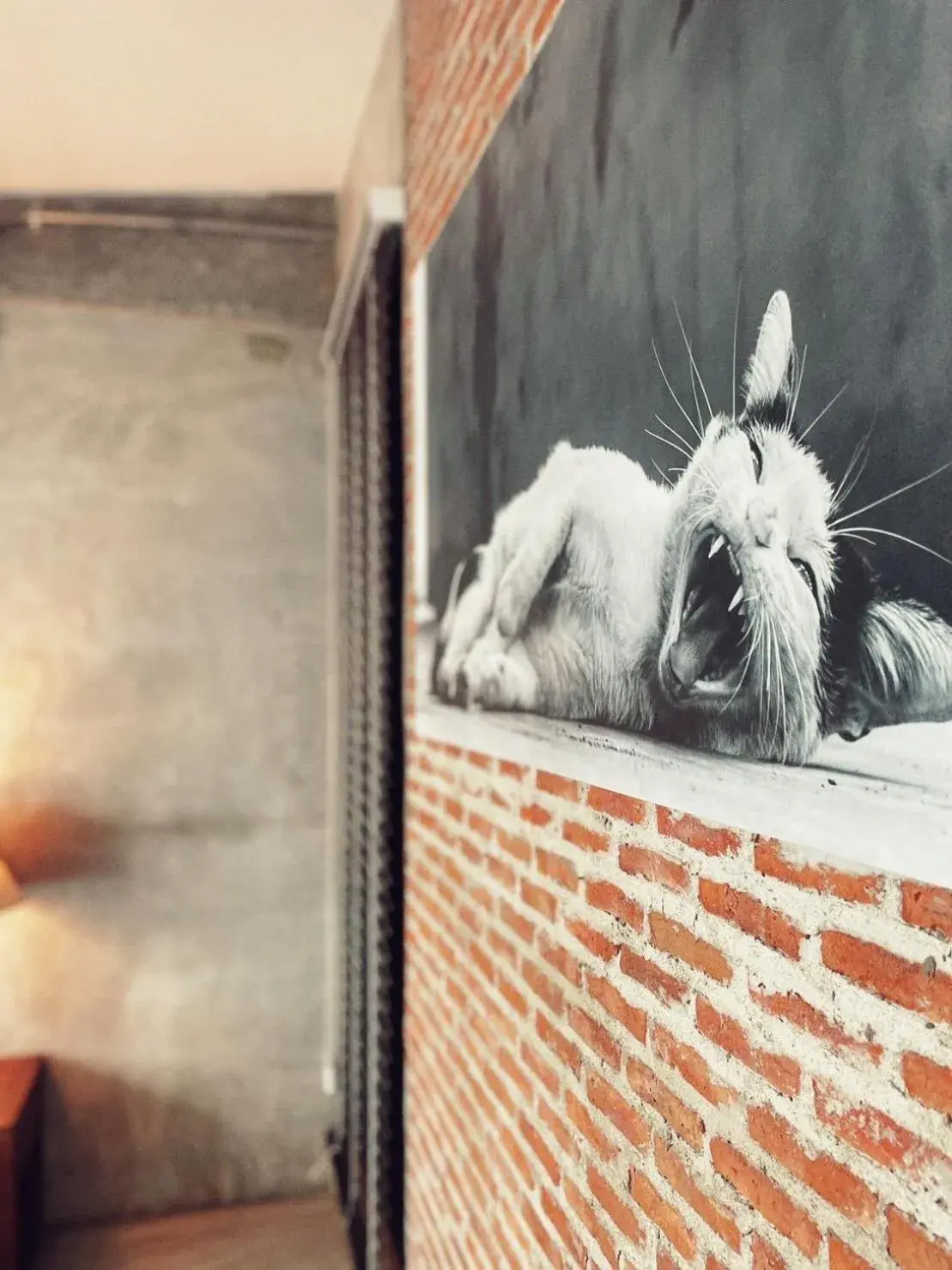 Yotaka The Hostel Yotaka The Hostel