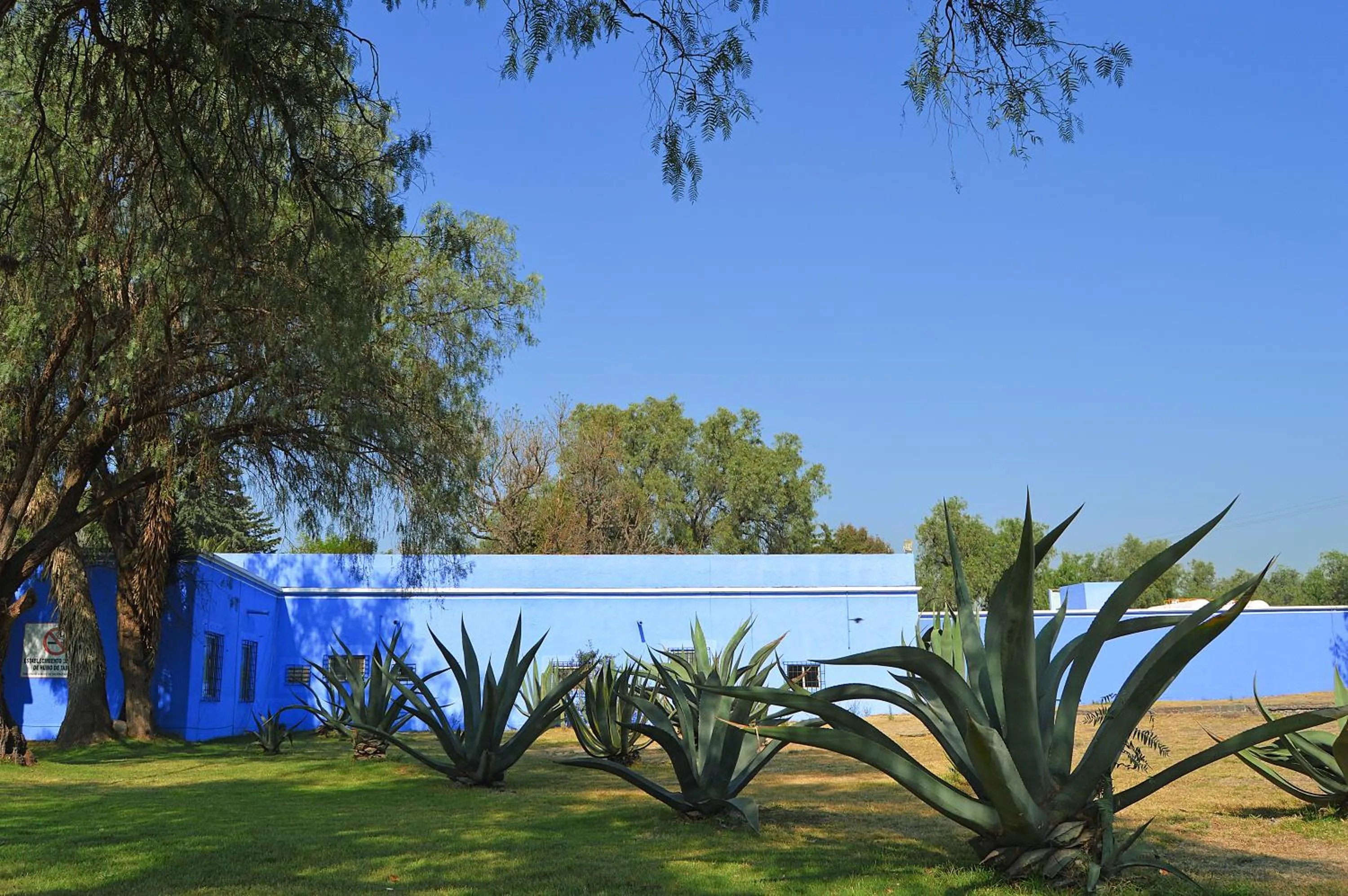 Garden in Villas Arqueologicas Teotihuacan