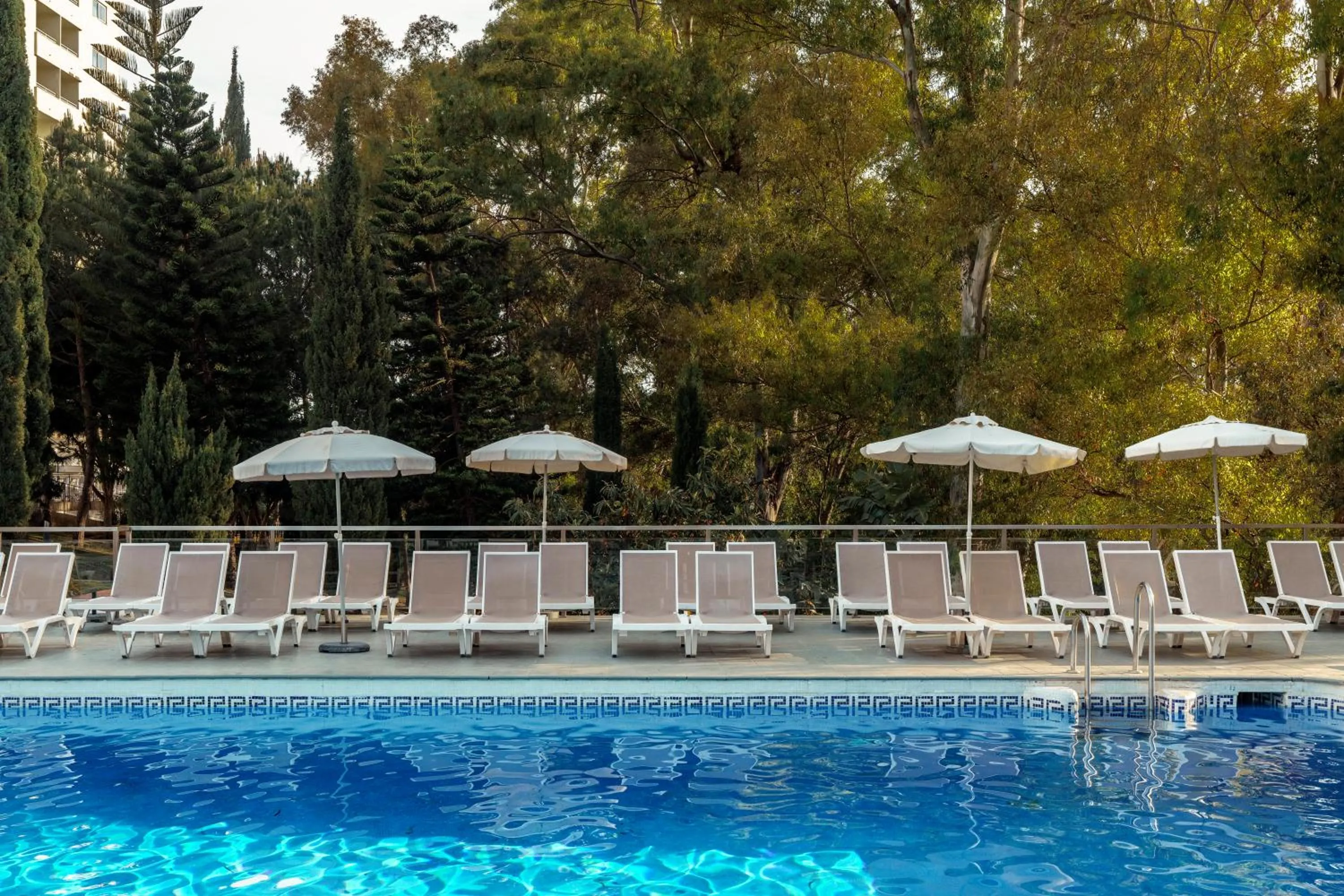 Swimming pool in AluaSun Costa Park