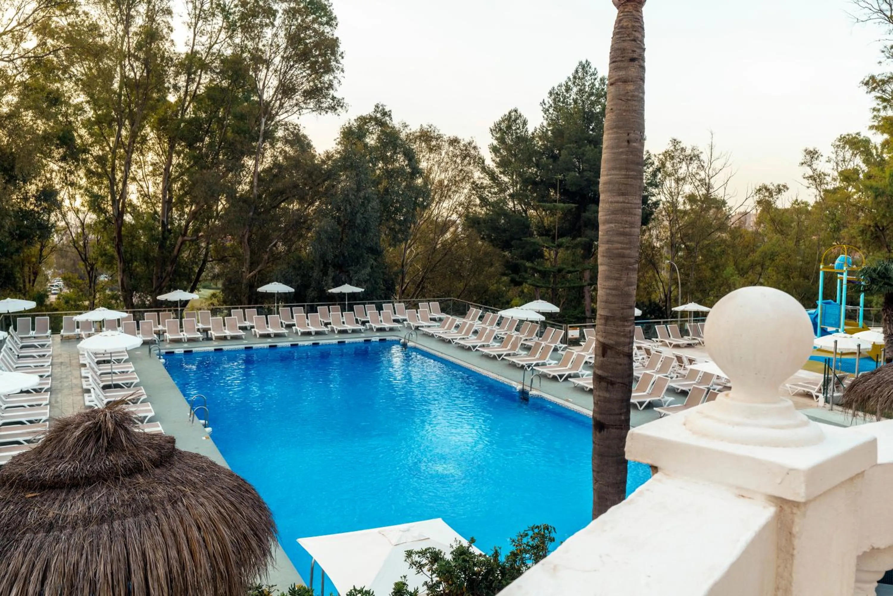 Swimming pool in AluaSun Costa Park