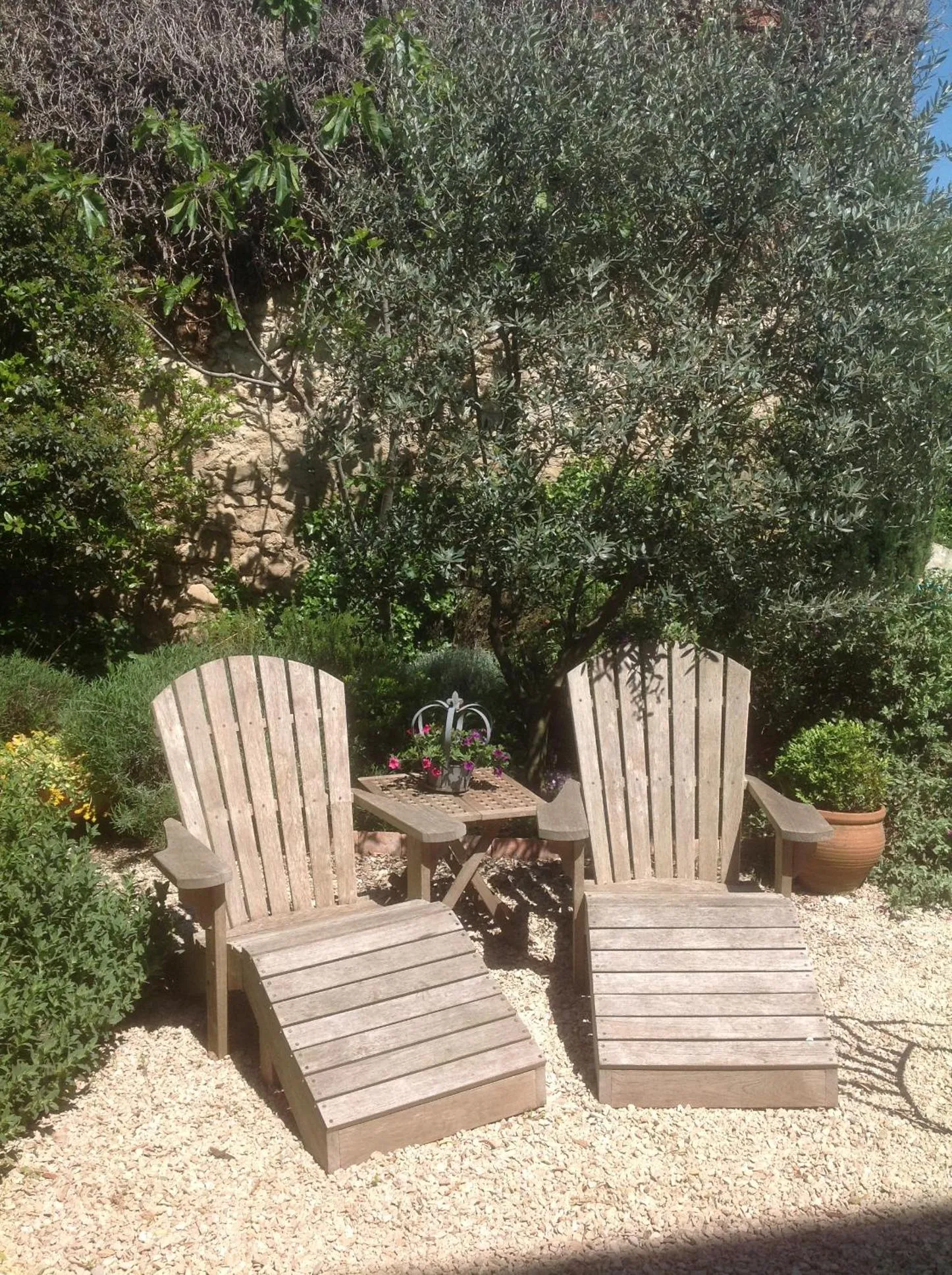 Garden in Le petit Figuier