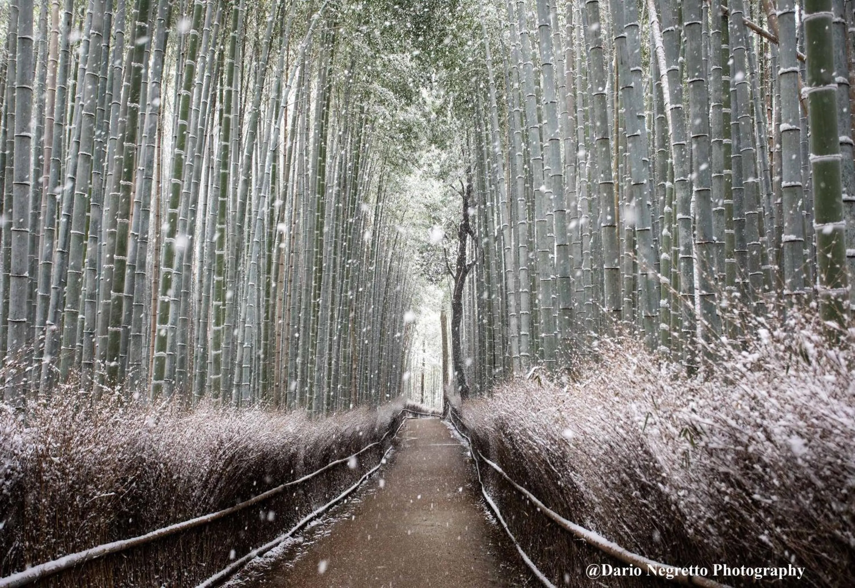 Nearby landmark in Mulan Hostel