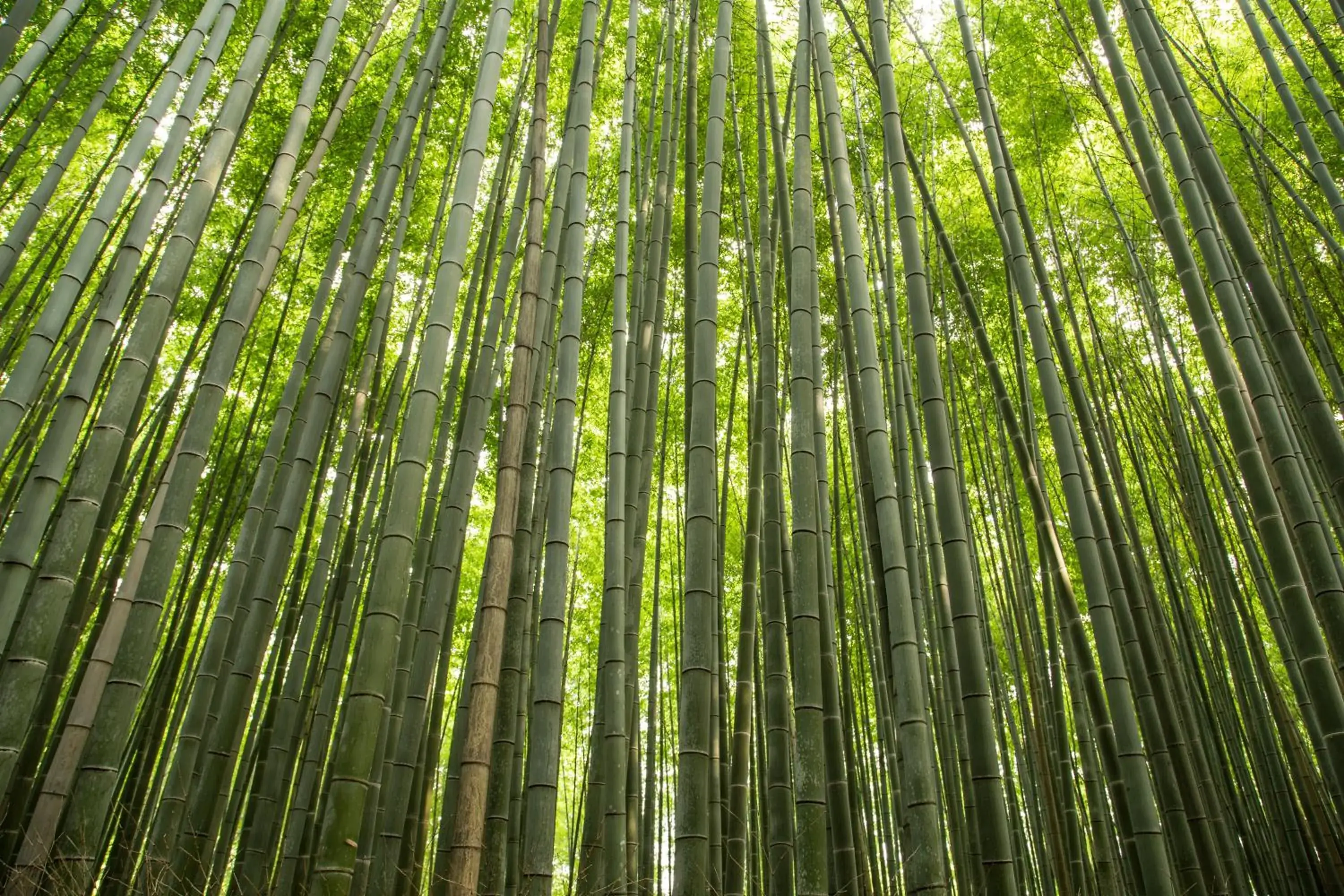 Property building in Mulan Hostel Property building in Mulan Hostel