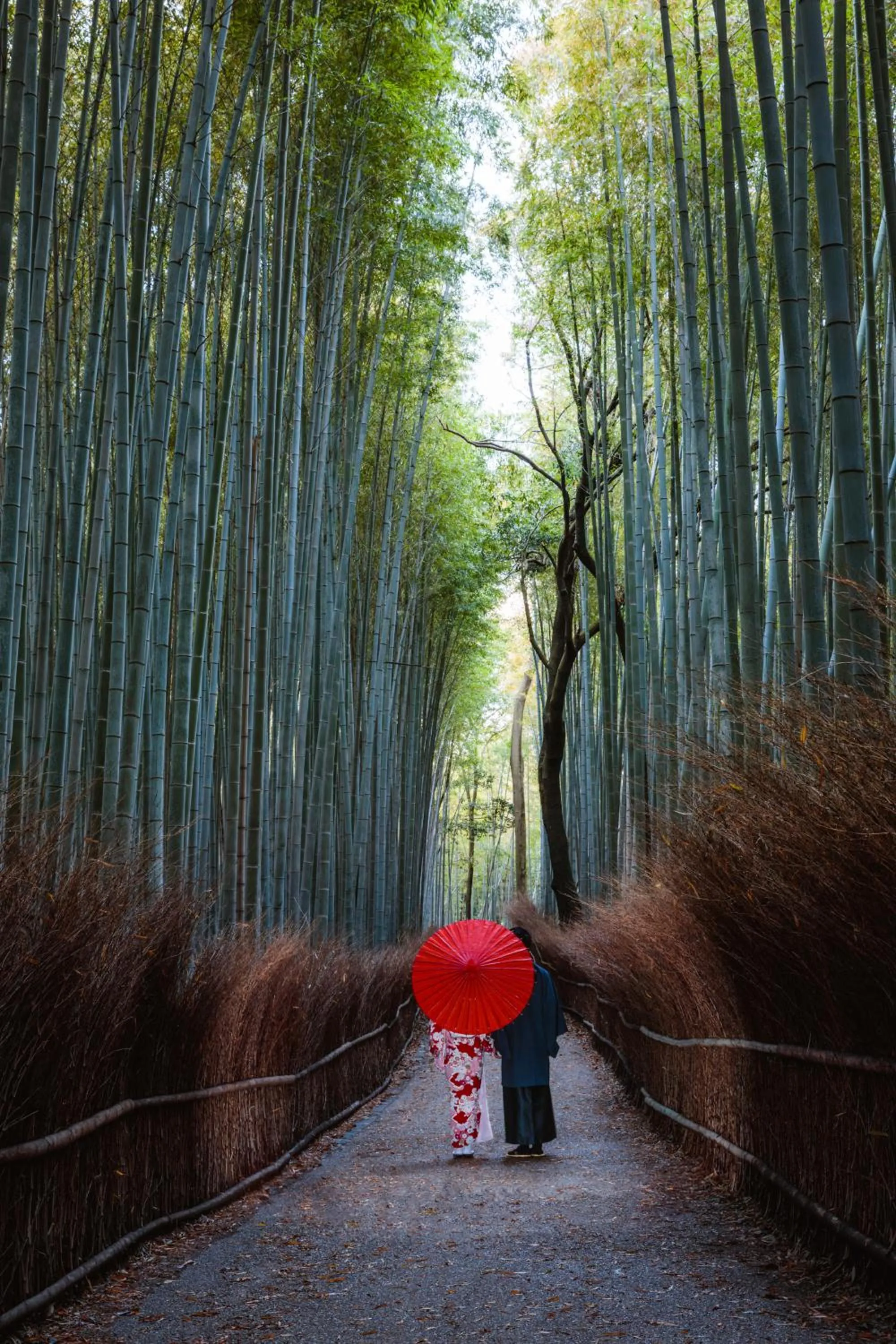 Off site in Mulan Hostel