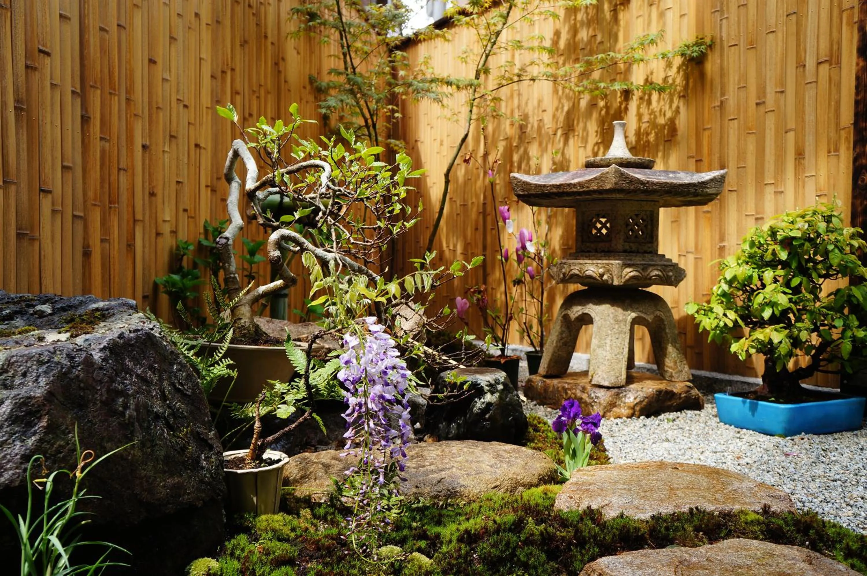 Garden in Mulan Hostel