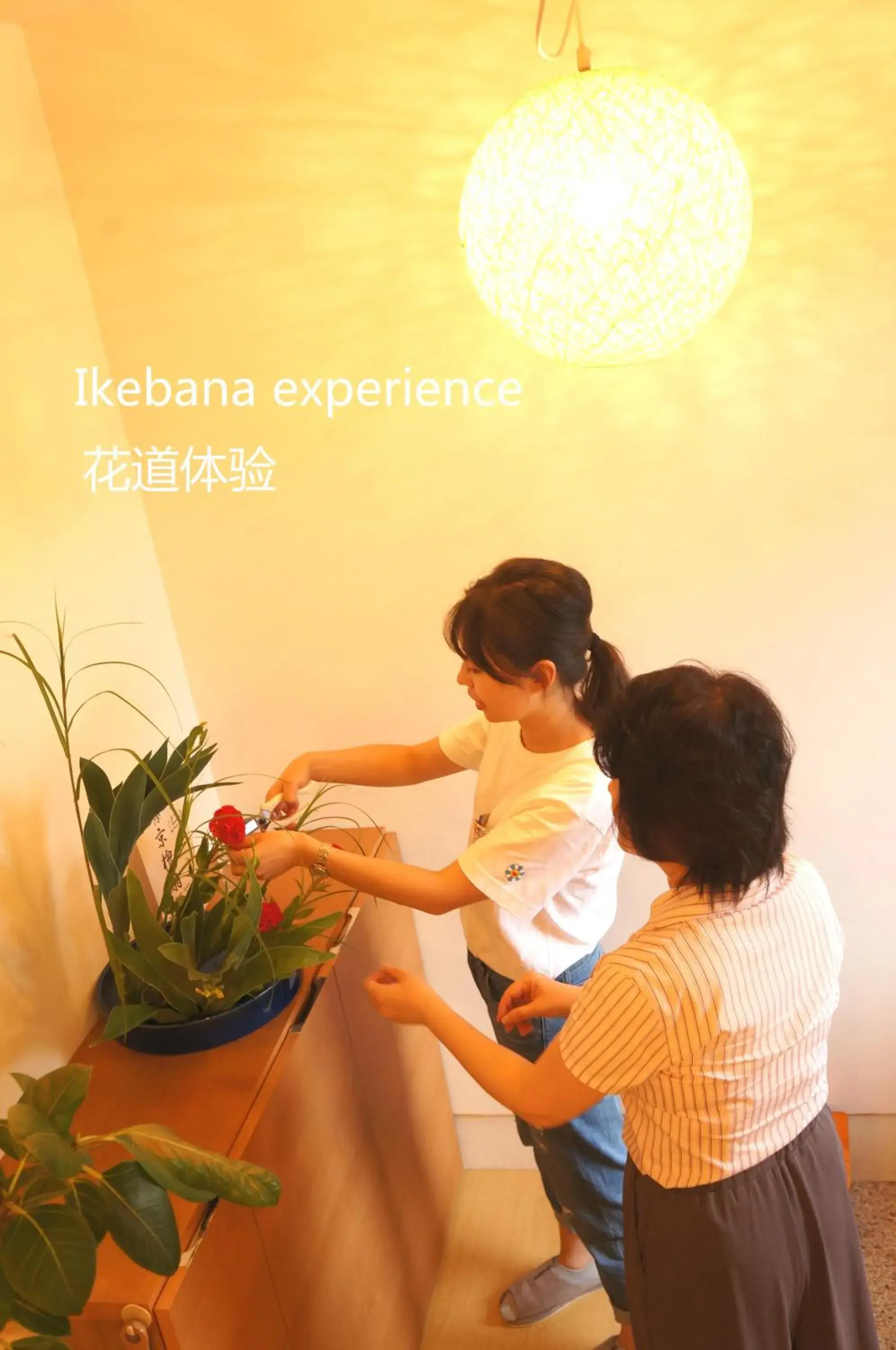 Lobby or reception in Mulan Hostel Lobby or reception in Mulan Hostel