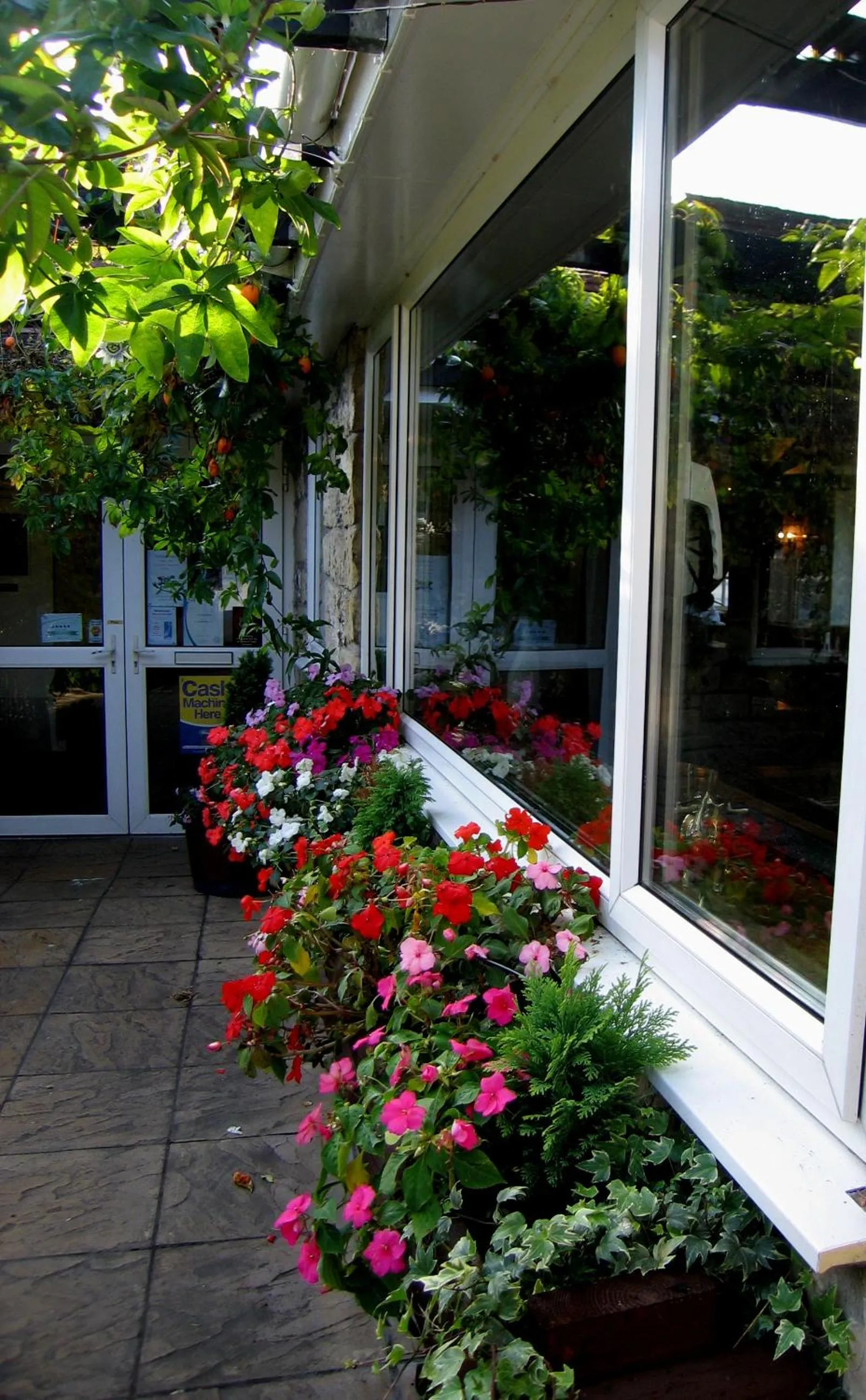 Patio in The Pelican Inn