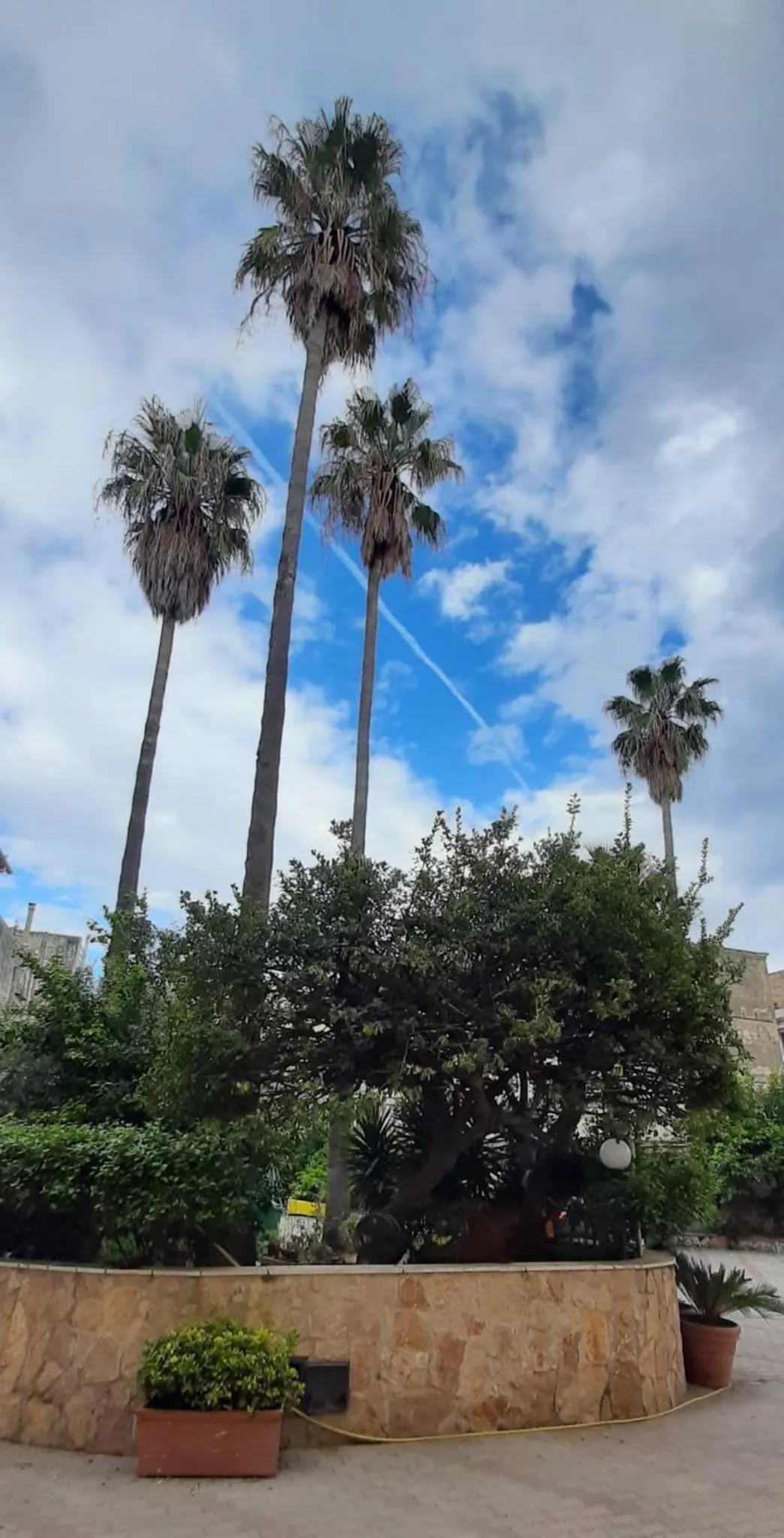 Garden in Villa Pacis