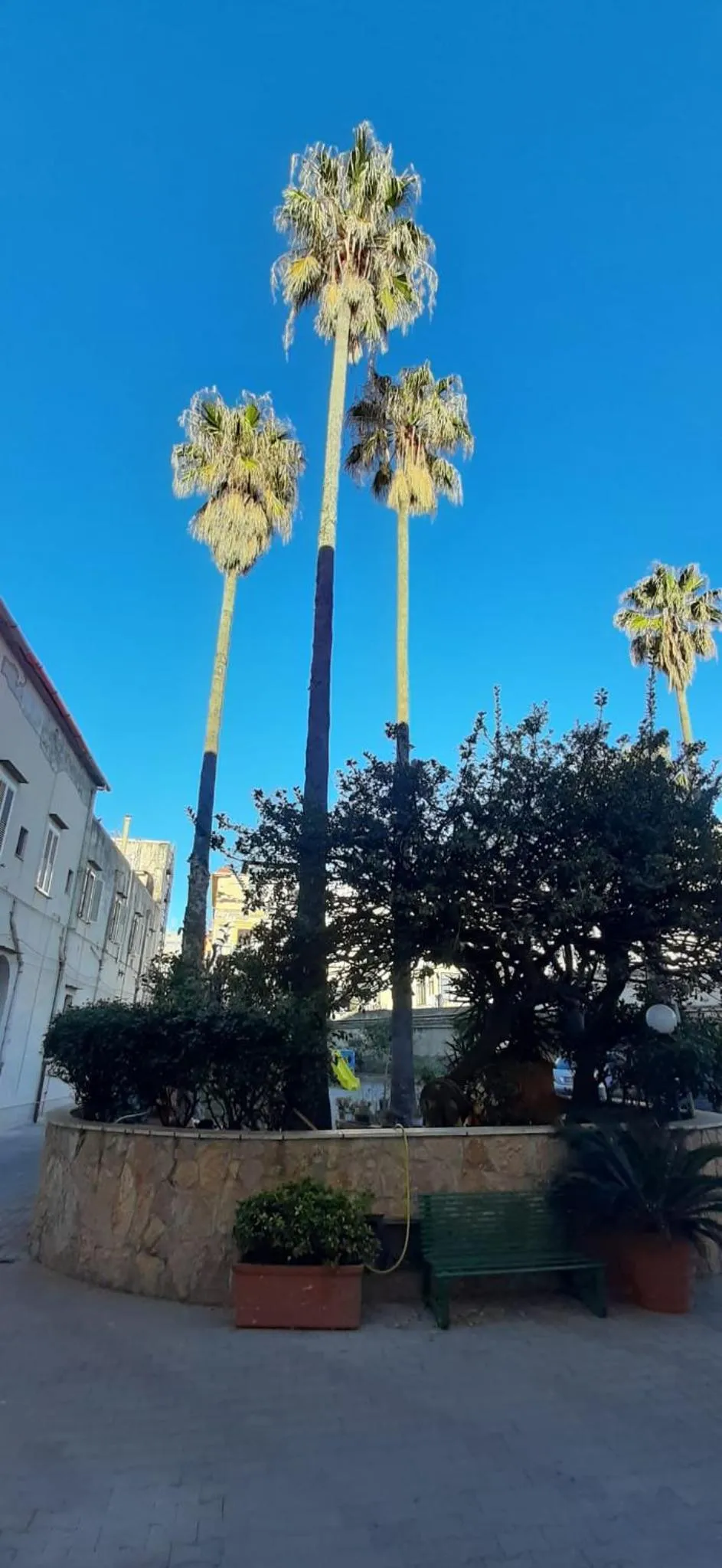 Garden view in Villa Pacis