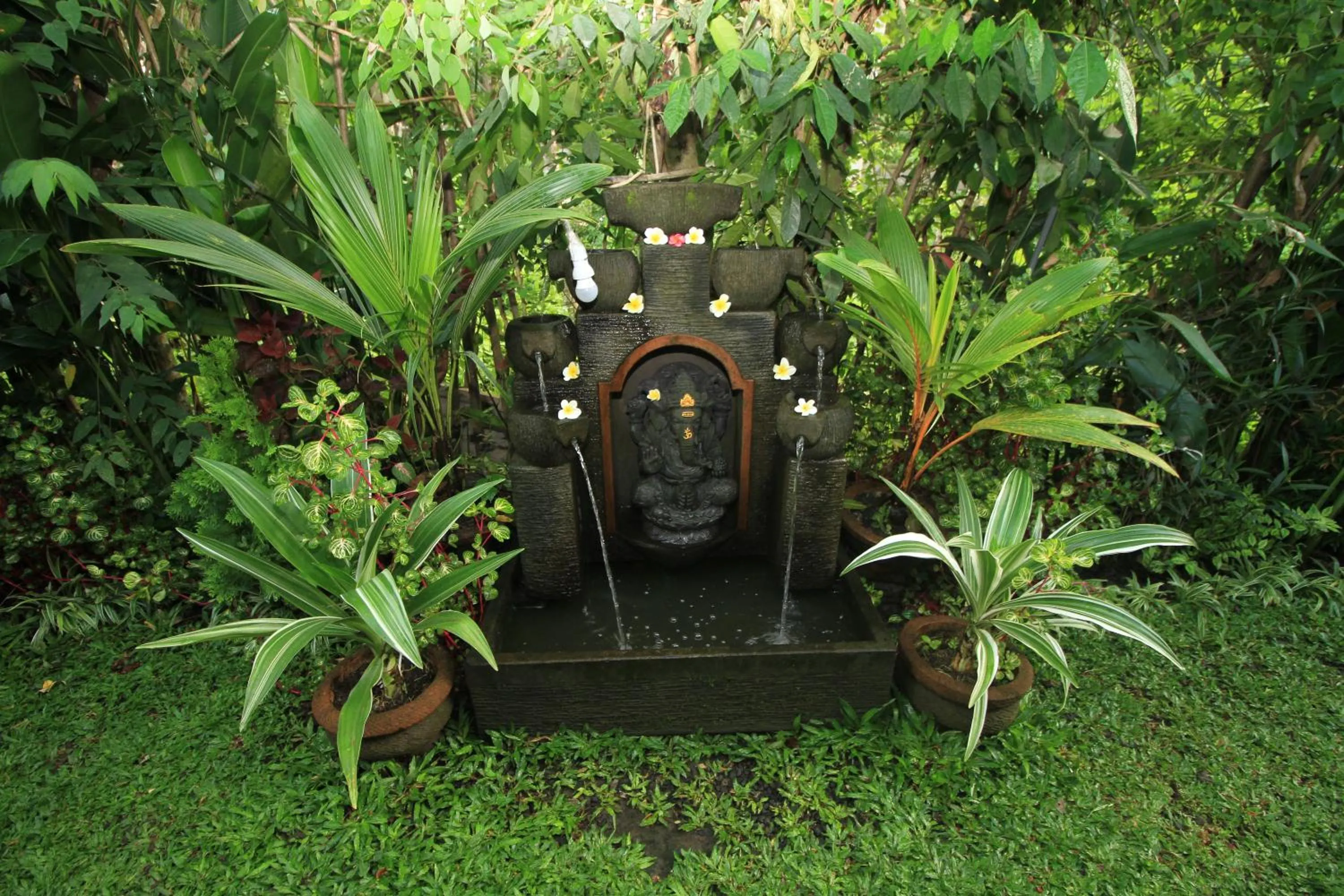 Teba Jati Guest House