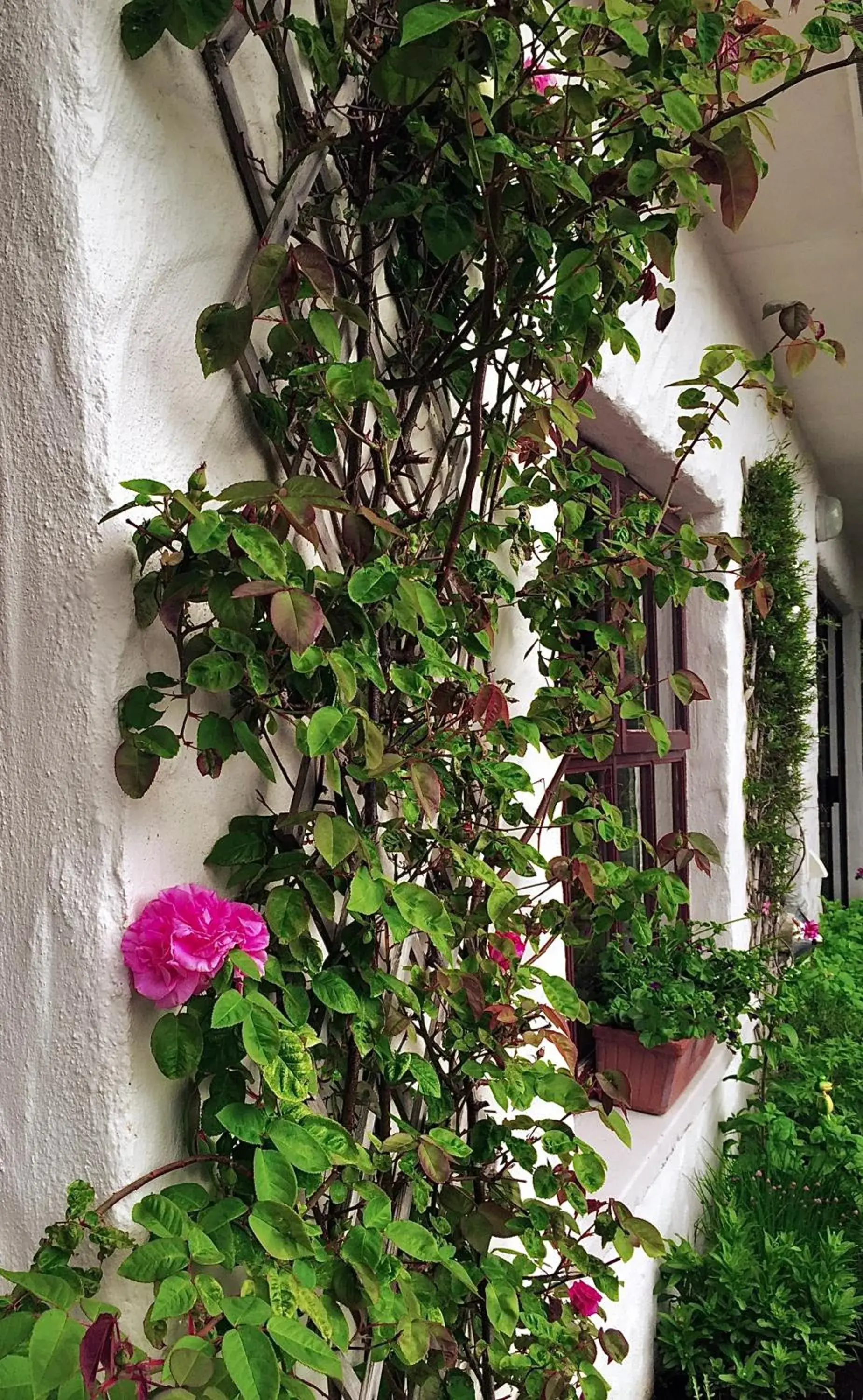 Property building in Ardagh Hotel & Restaurant Property building in Ardagh Hotel & Restaurant