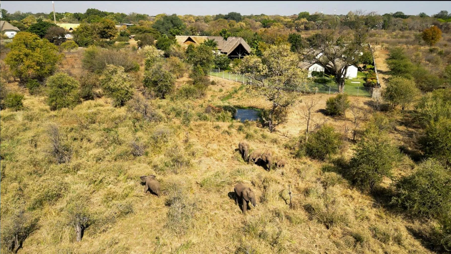 Property building in Shearwater's Explorers Village