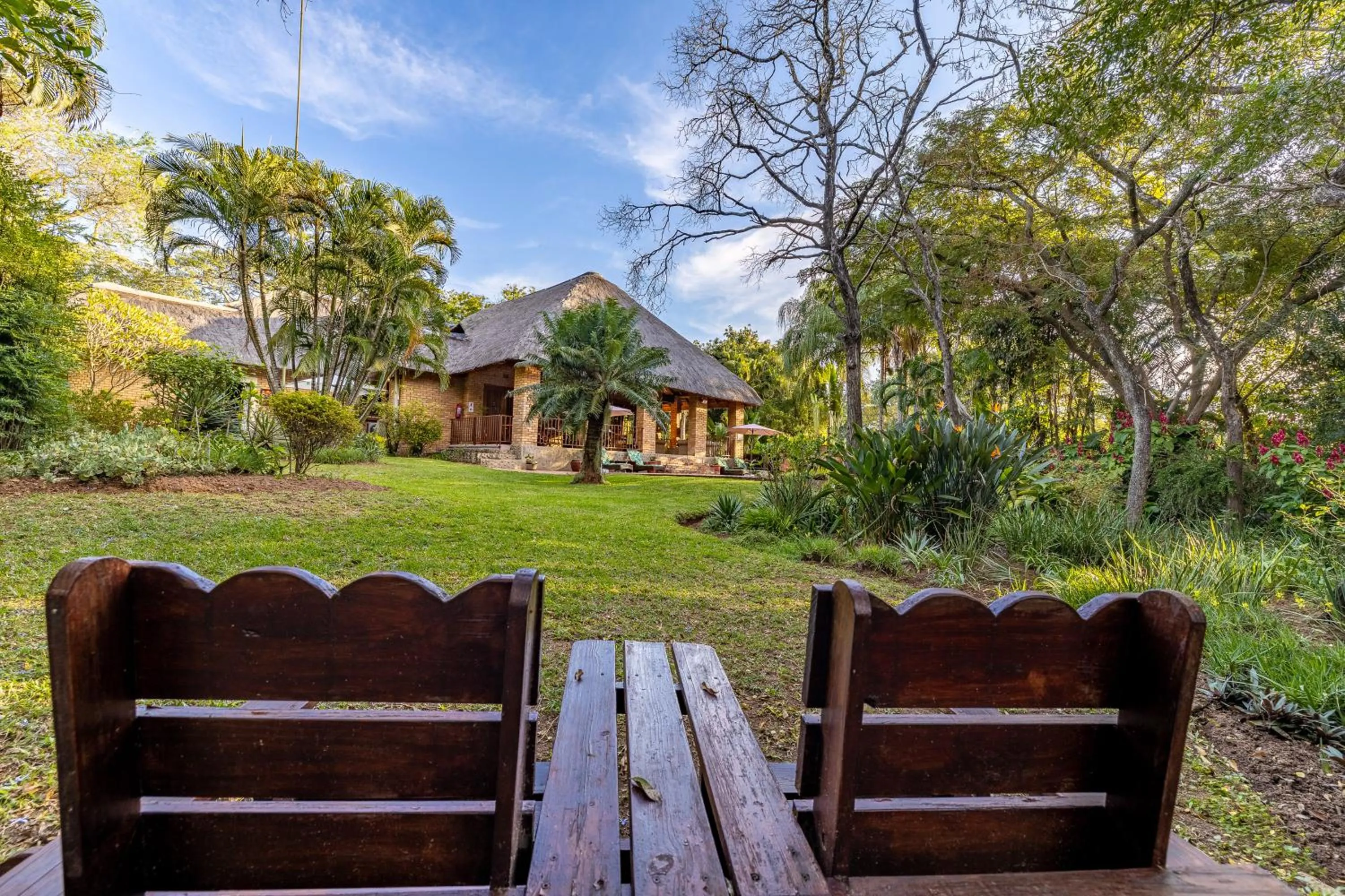 Garden view in Dreamfields Guesthouse