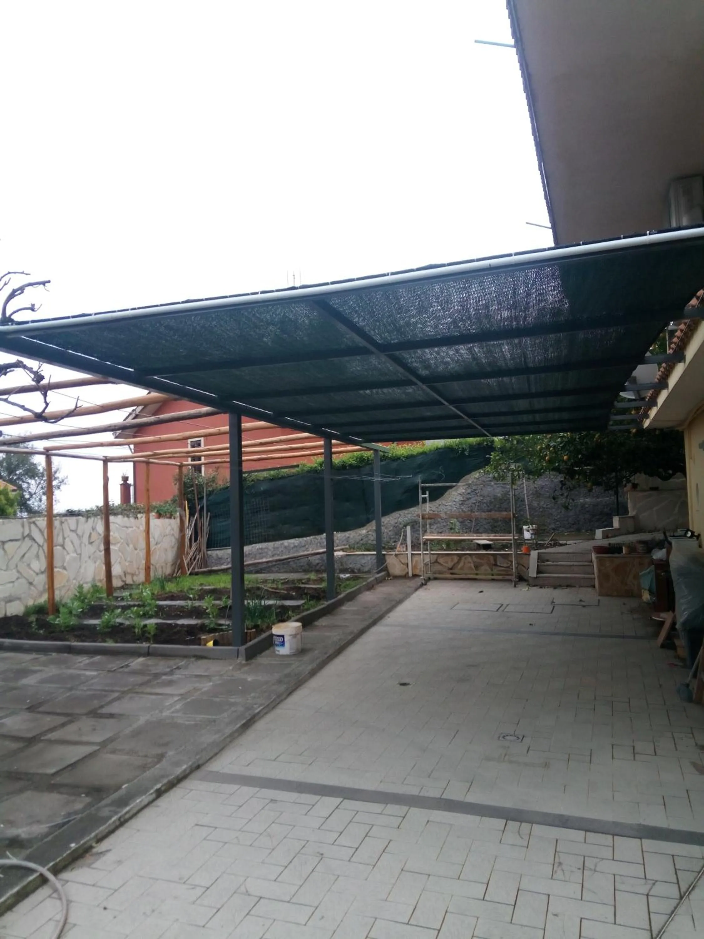 L'Agrifoglio Dell'Etna