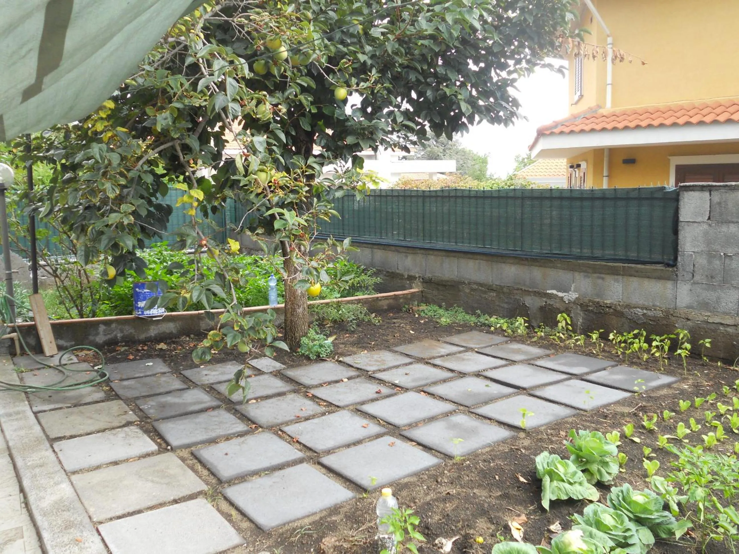 Facade/entrance in L'Agrifoglio Dell'Etna