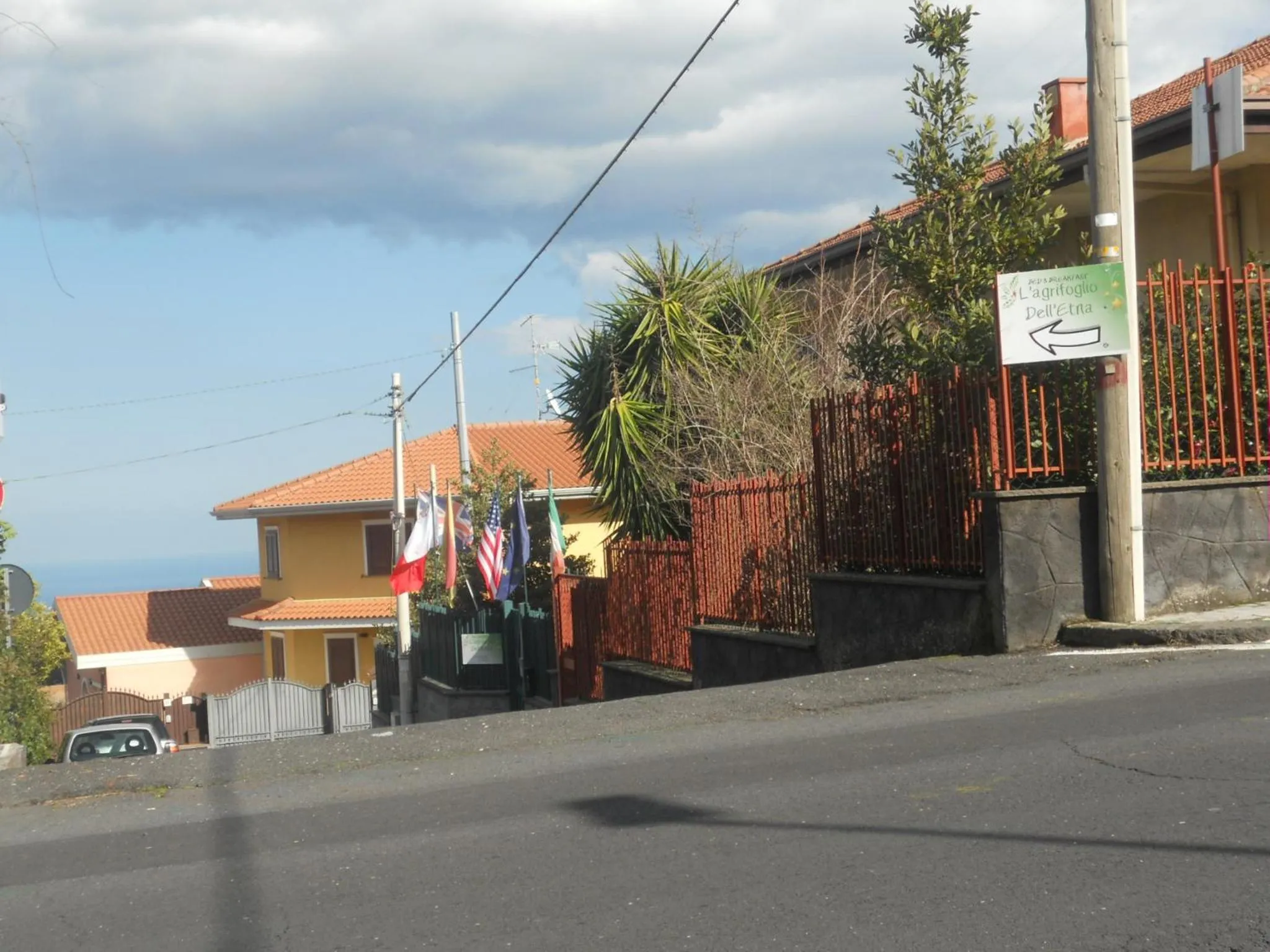 L'Agrifoglio Dell'Etna