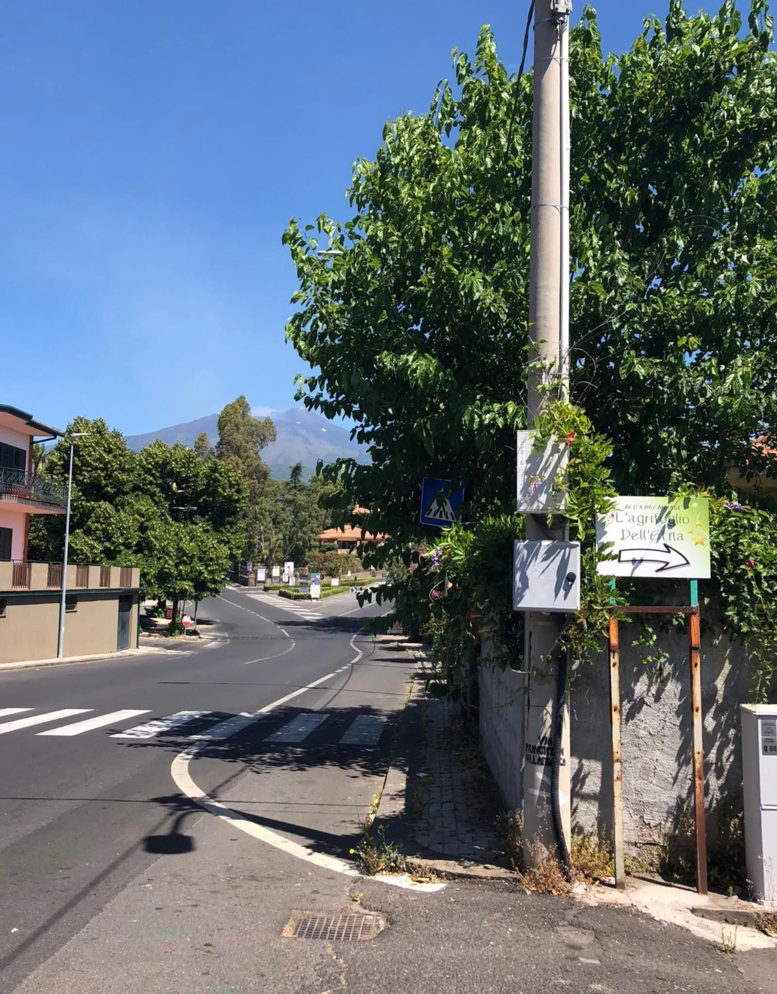 L'Agrifoglio Dell'Etna