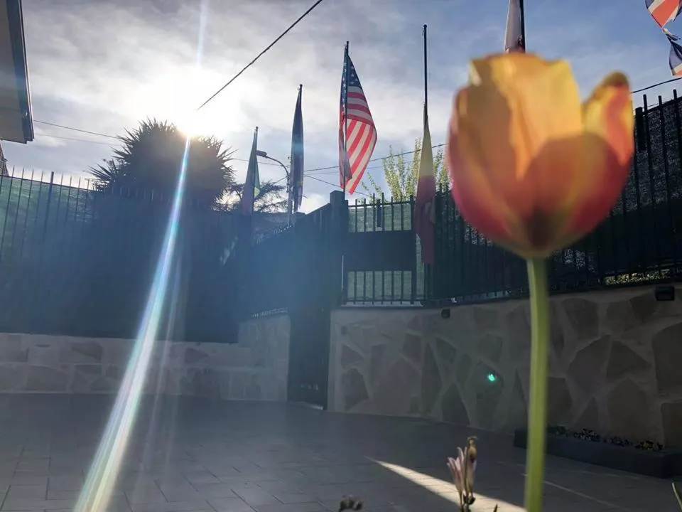 Garden in L'Agrifoglio Dell'Etna
