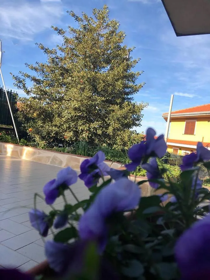 Garden in L'Agrifoglio Dell'Etna