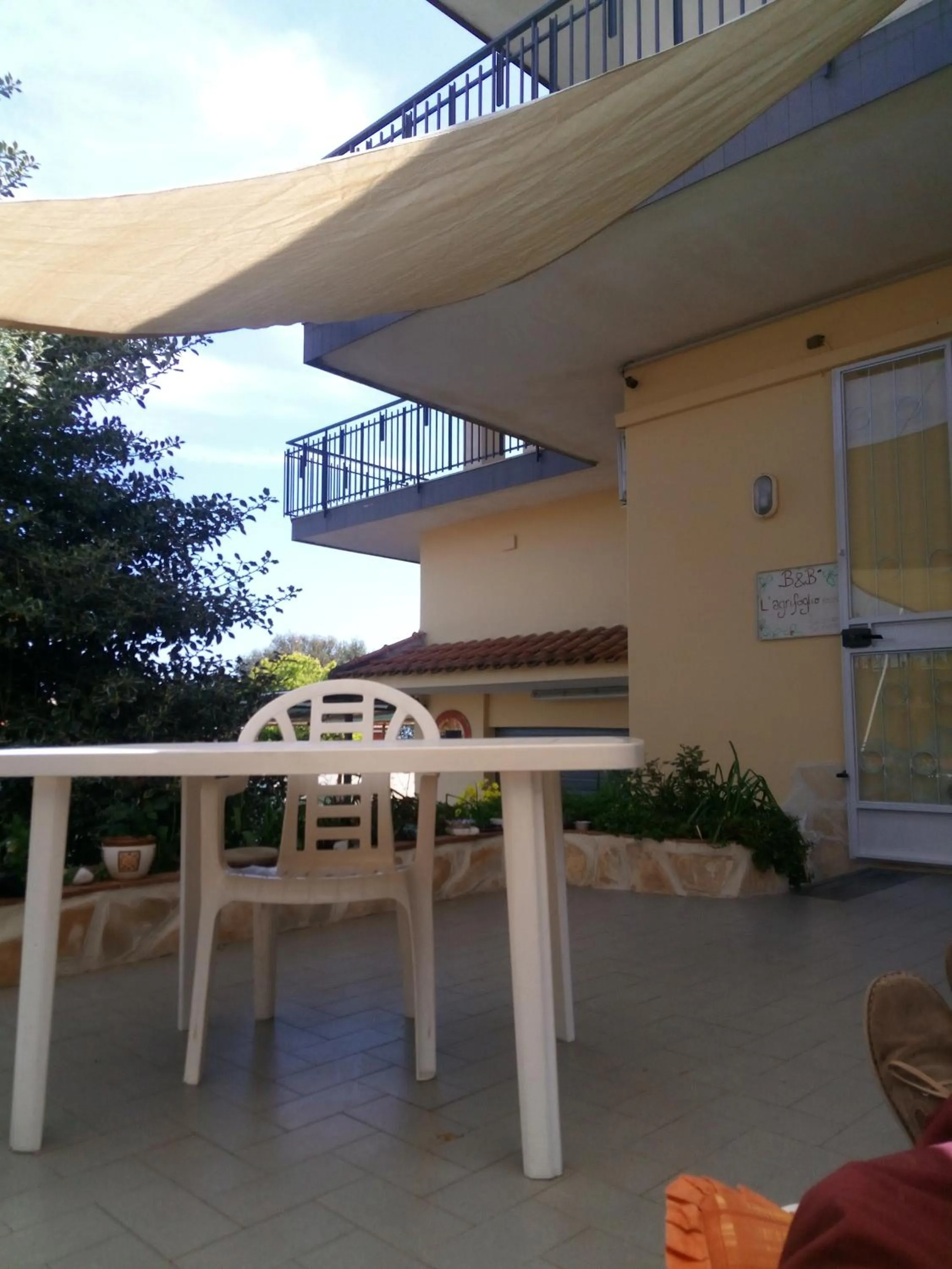 L'Agrifoglio Dell'Etna