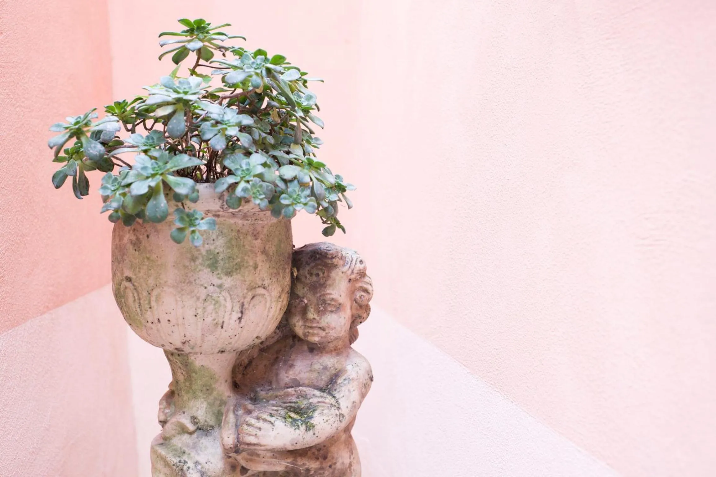 Property building in La Valle Delle Ferriere