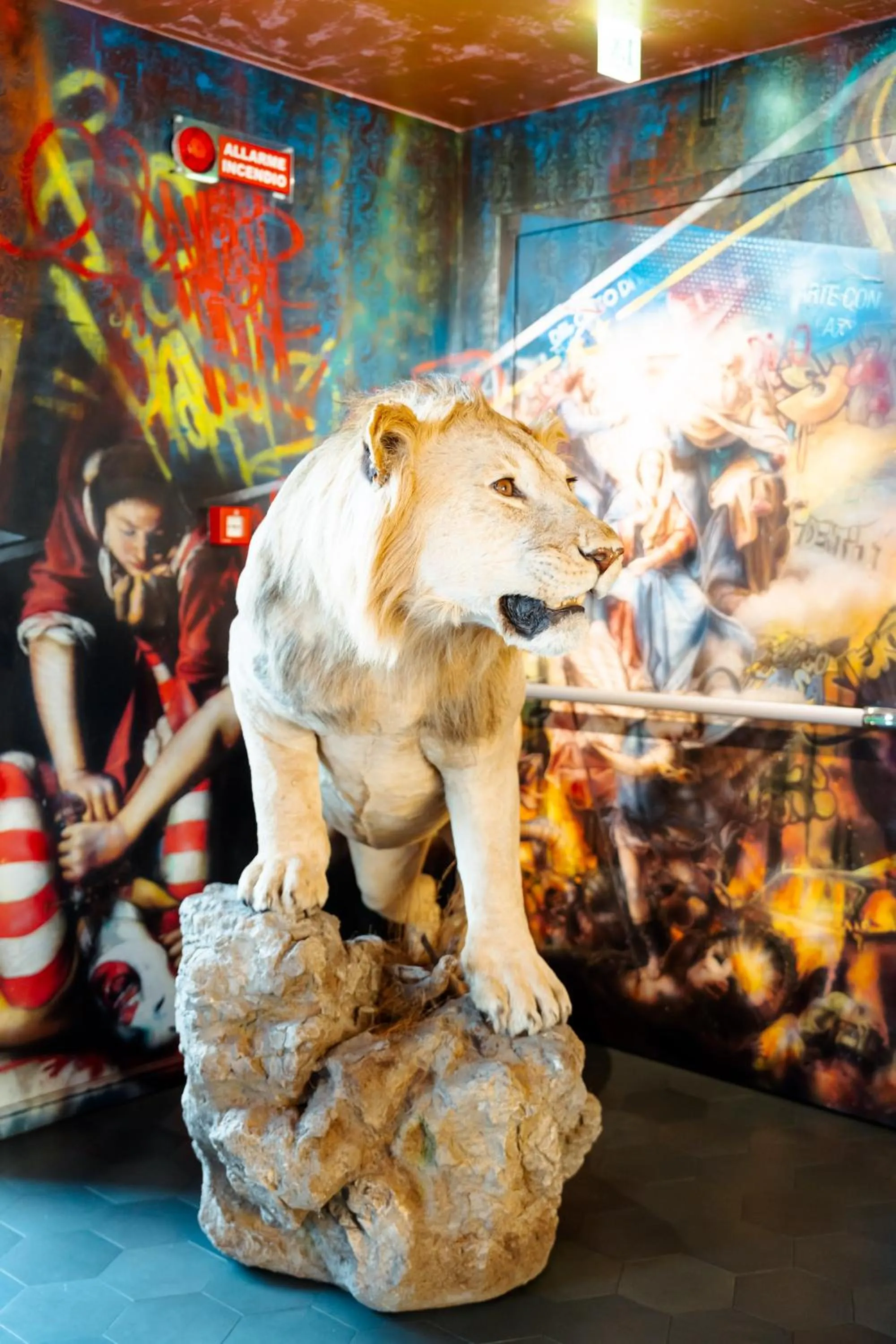 Restaurant/places to eat in Collini Rooms, WorldHotels Crafted