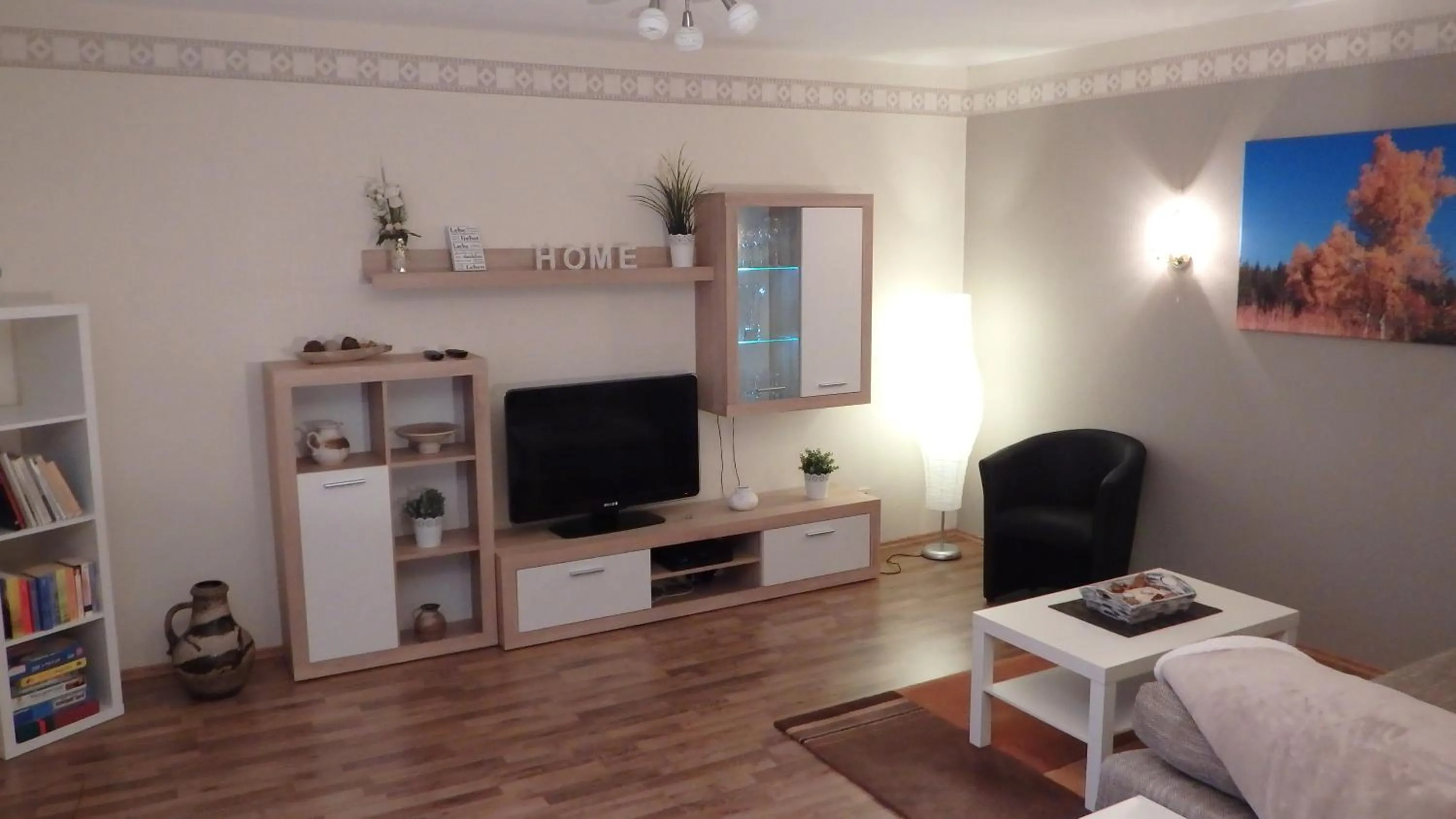 TV and multimedia in Fischer