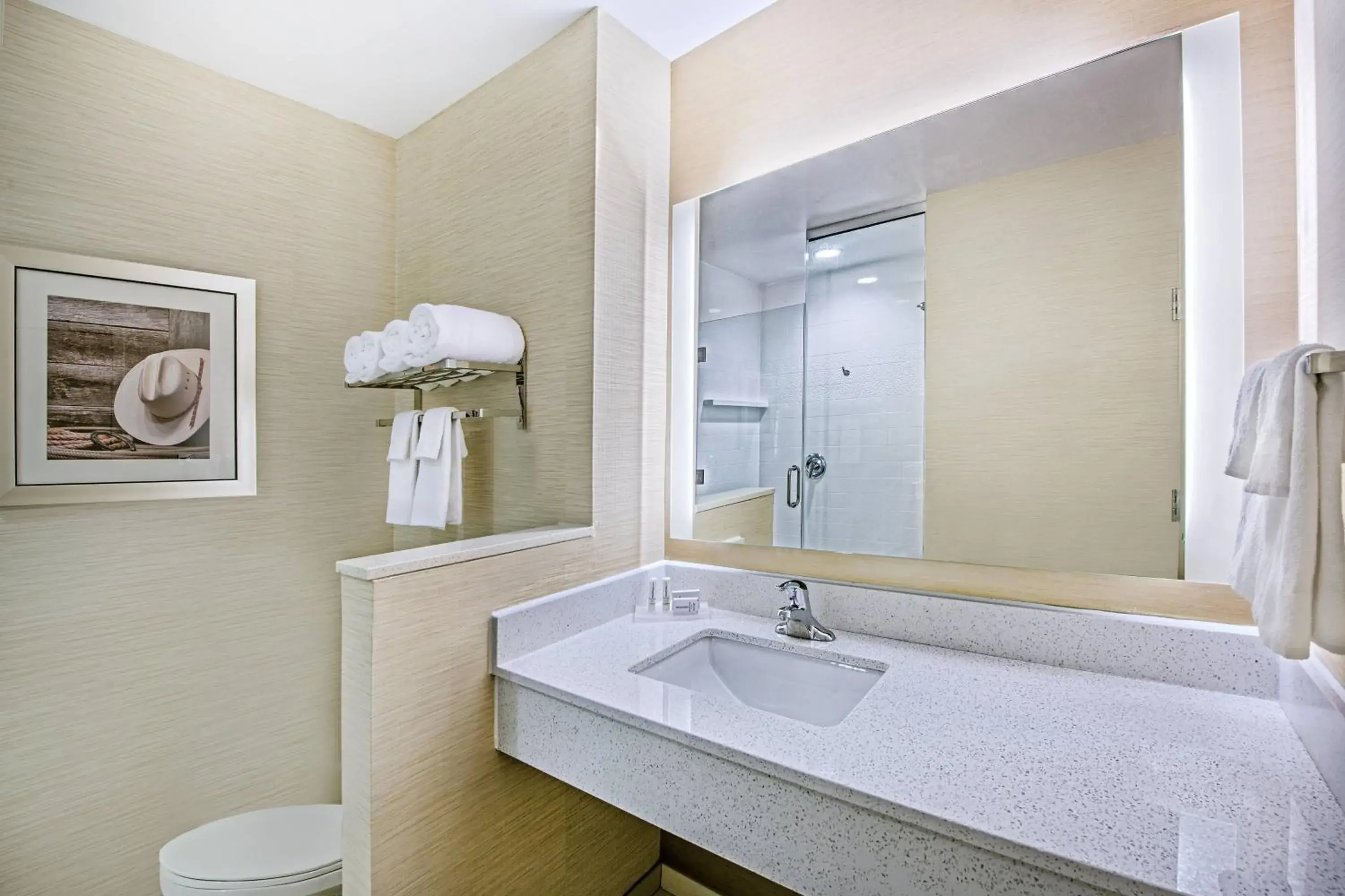 King Room in Fairfield Inn & Suites Van Canton Area King Room in Fairfield Inn & Suites Van Canton Area