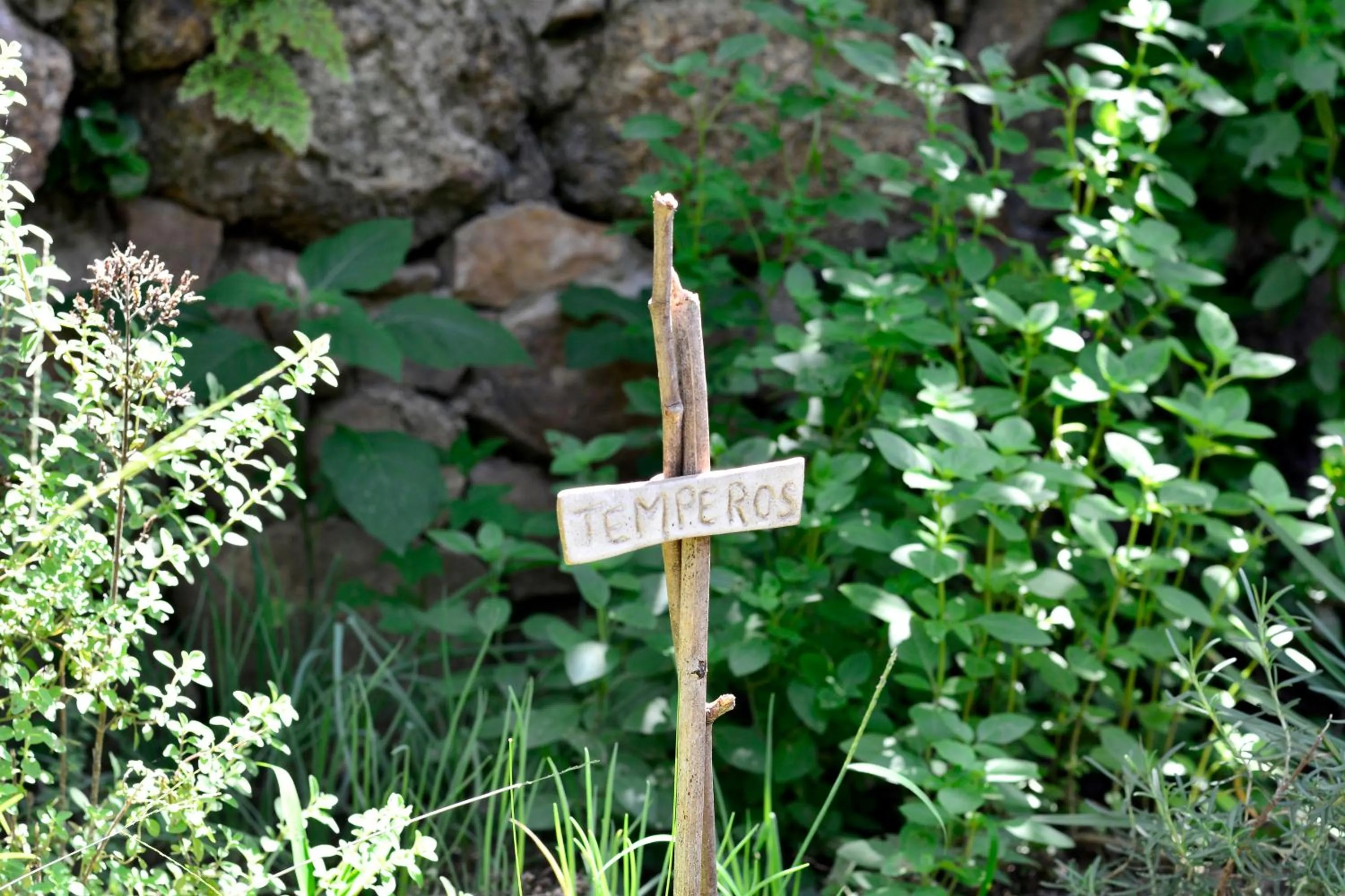 Property building in Villa Gardena Suites