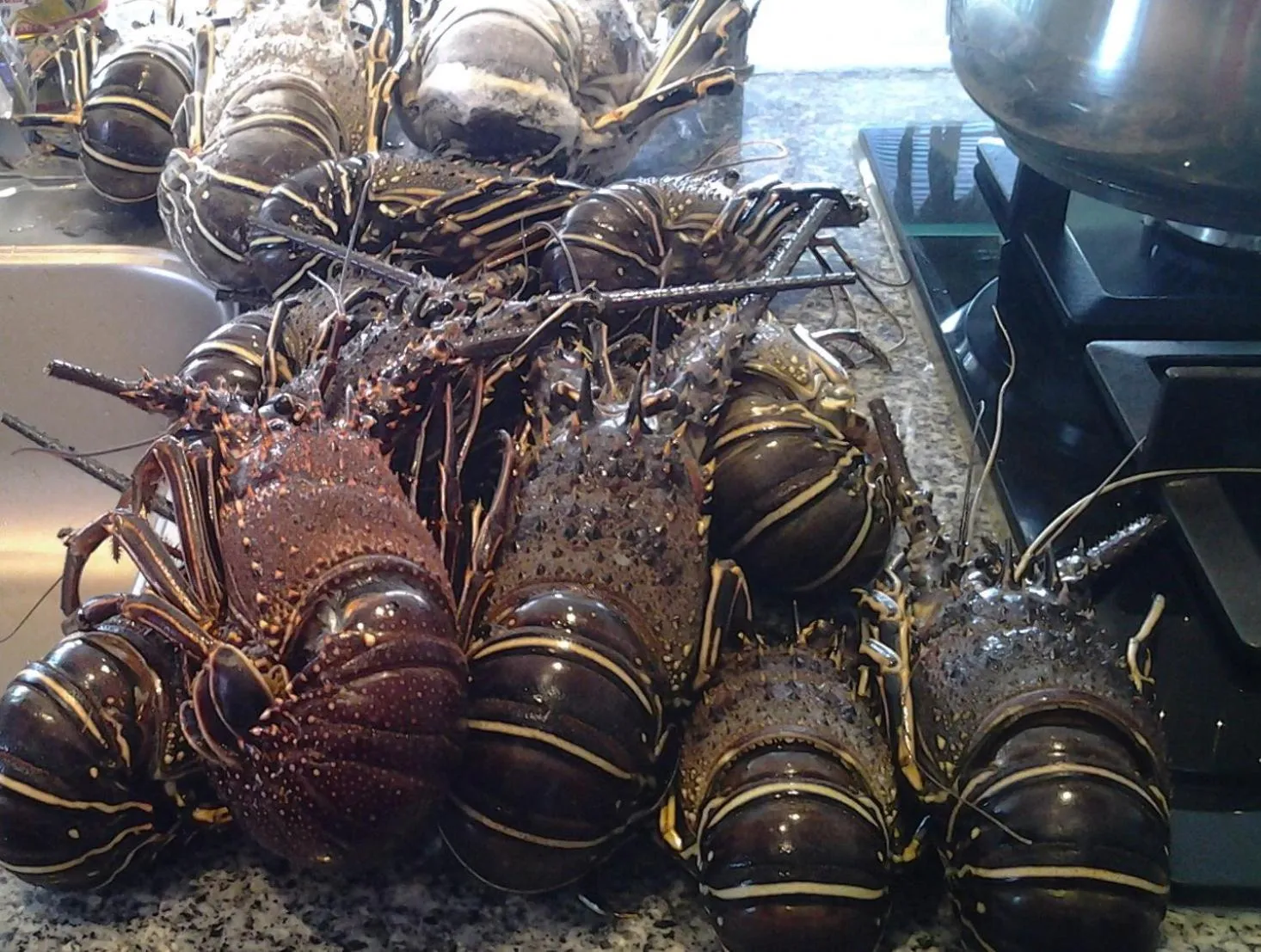 Pousada B&B Le Gourmet