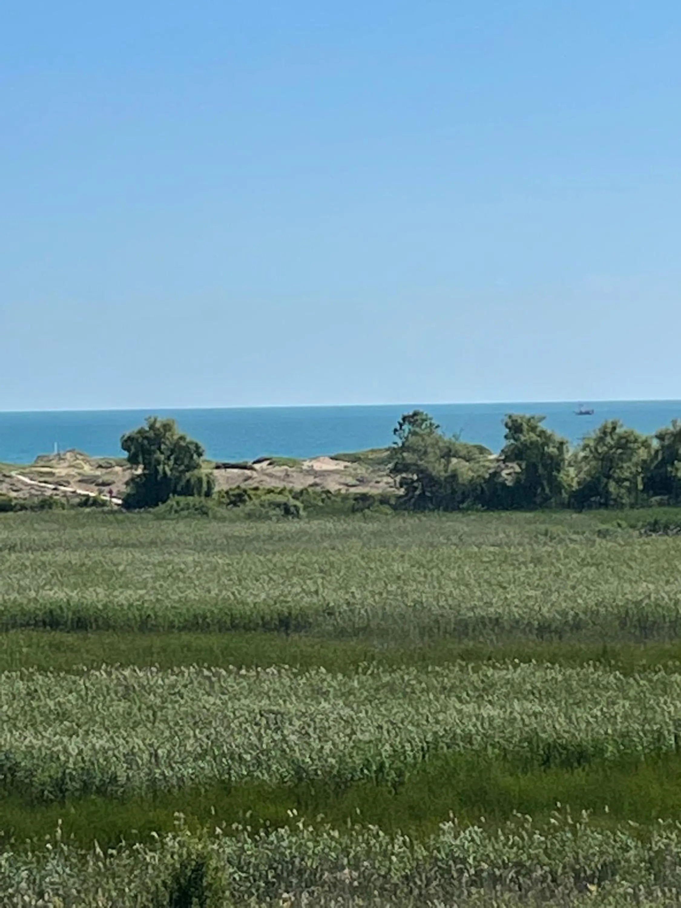 Natural landscape in Pearl Sunshine Appartments
