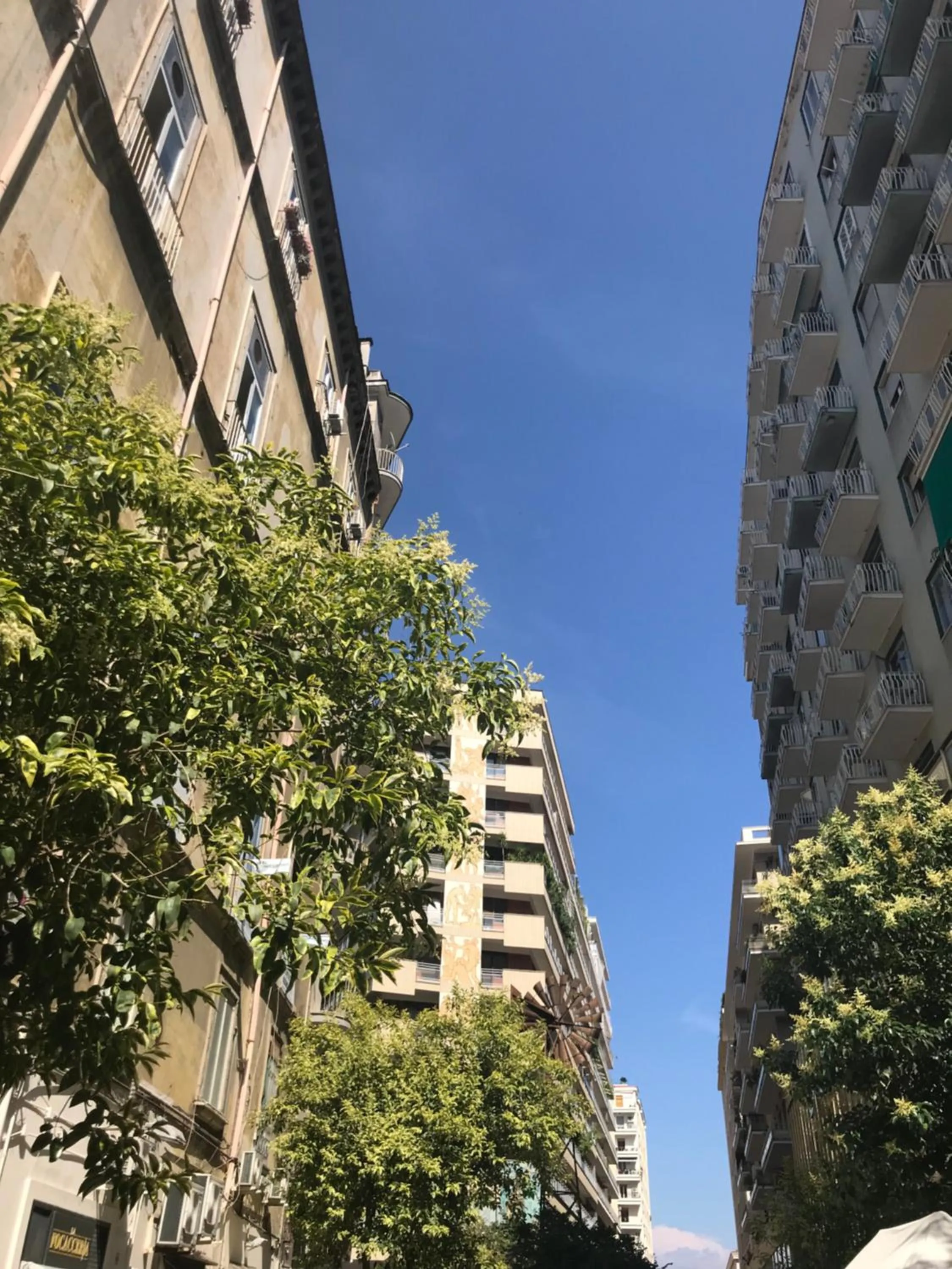 Property building in Toledo Loft