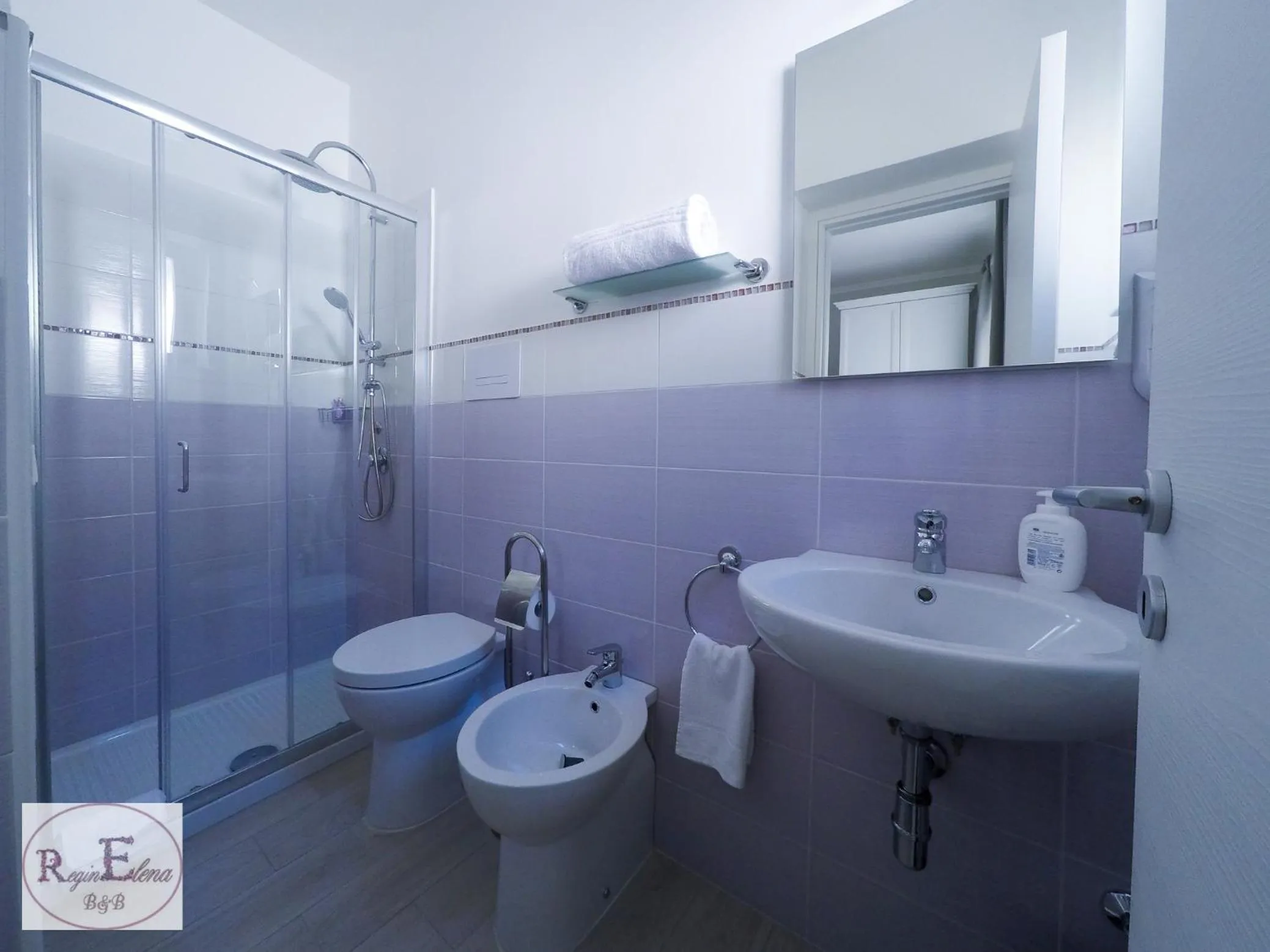 Shower in ReginElena B&B