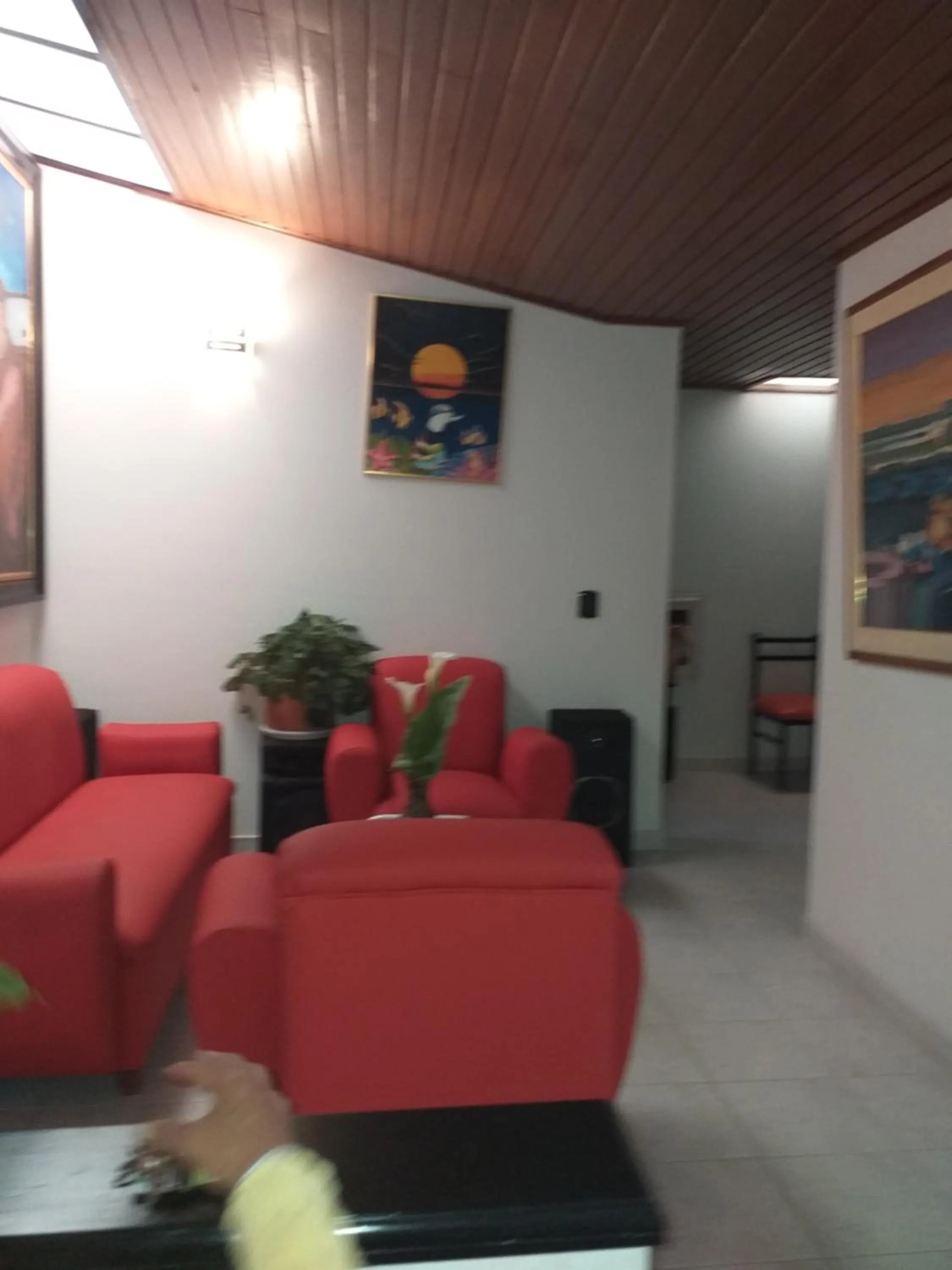 Hotel Hortensia Real