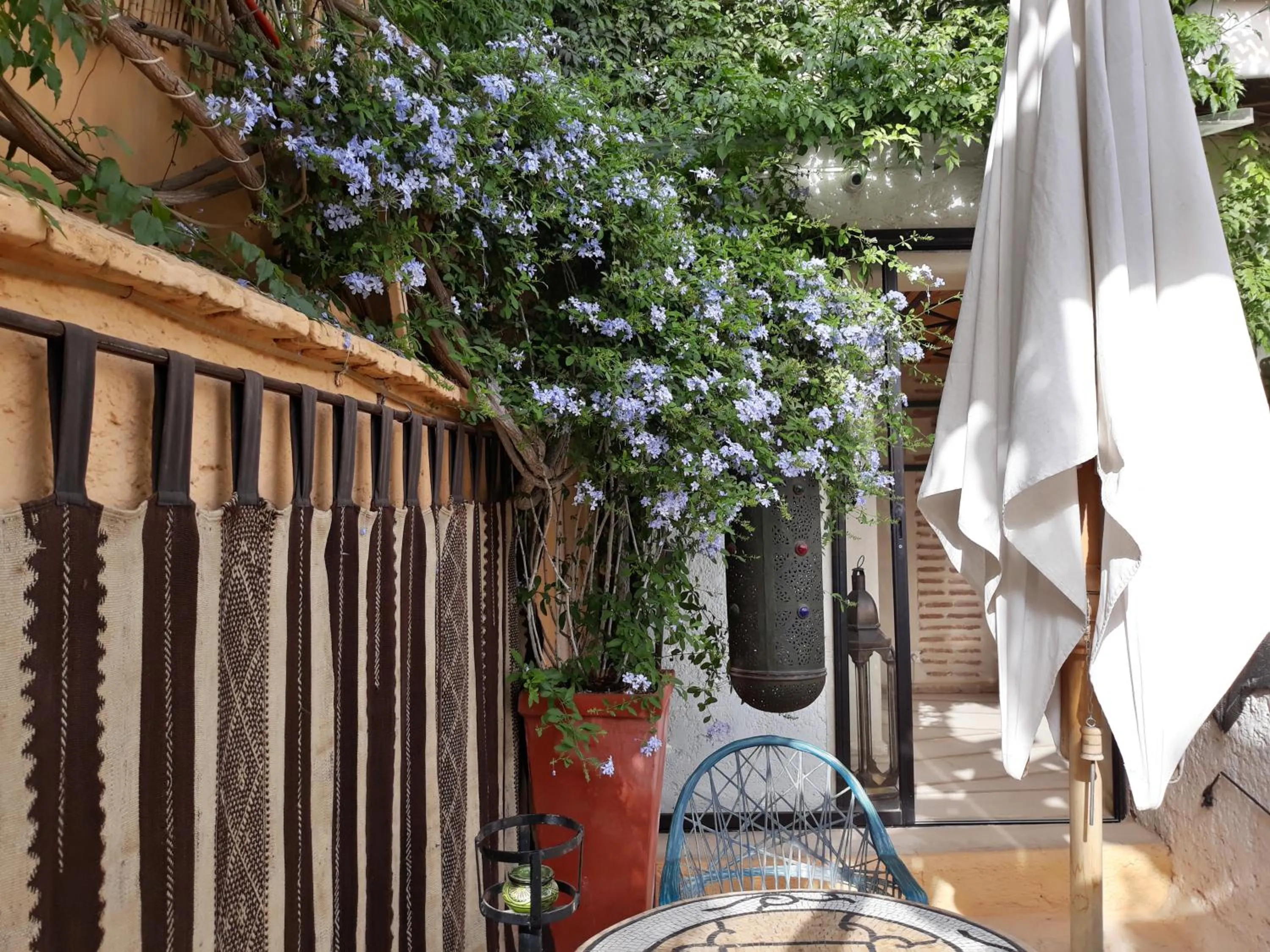 Patio in Riad Dar Oulhoum