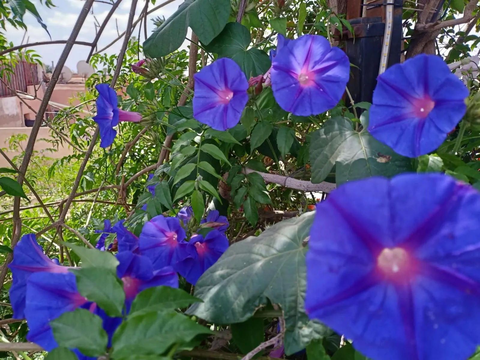 Day in Riad Dar Oulhoum