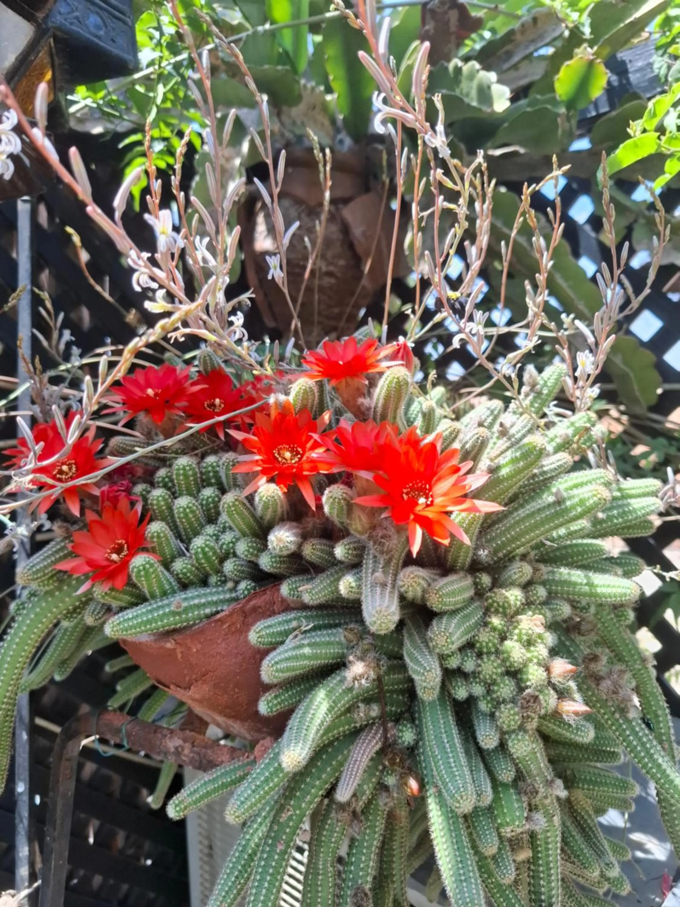 Spring in Riad Dar Oulhoum