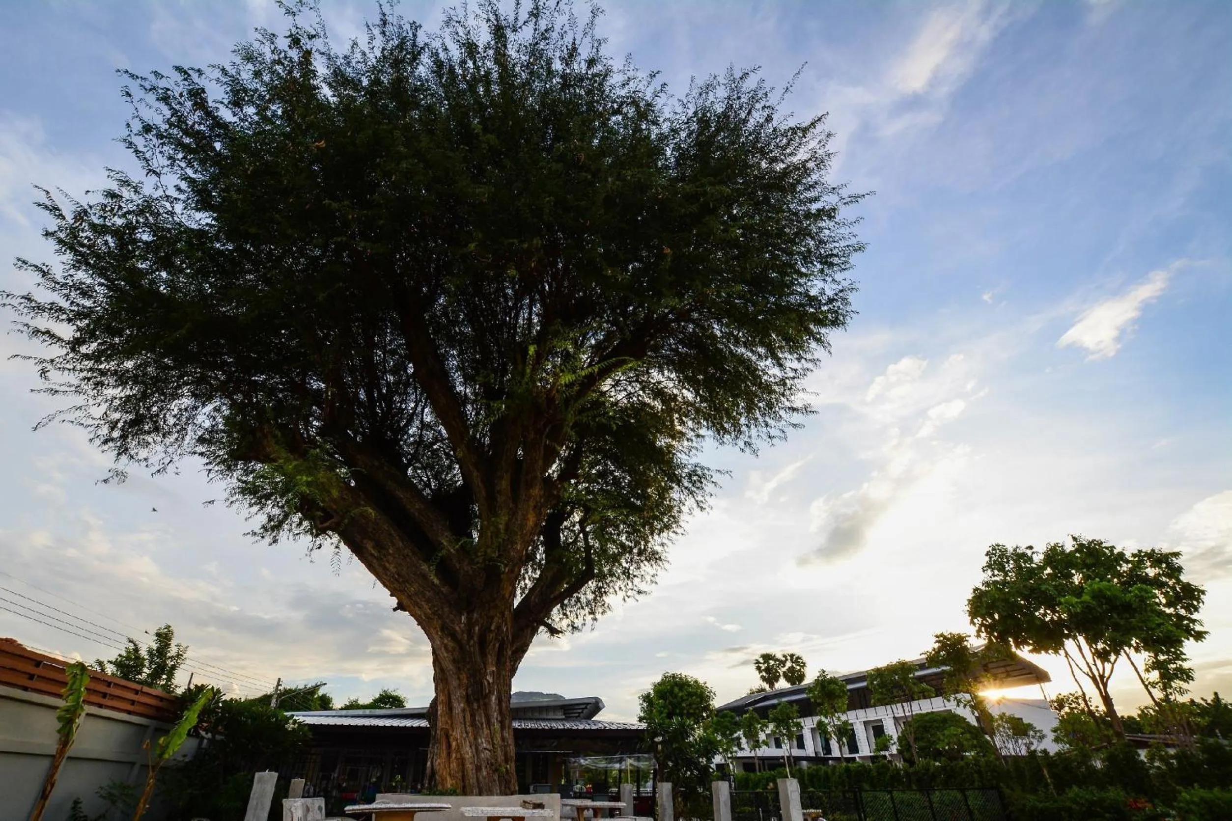 Property building in BY Hotel Kanchanaburi