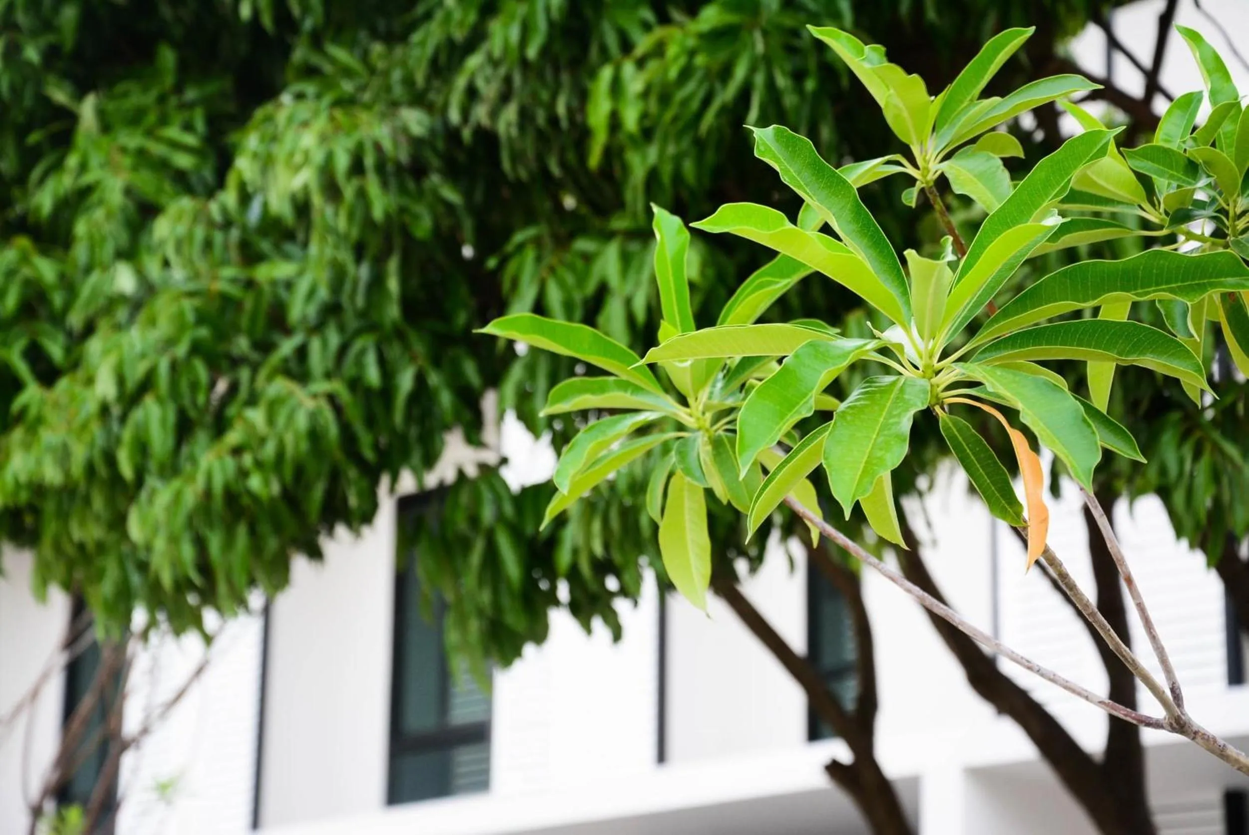 Property building in BY Hotel Kanchanaburi