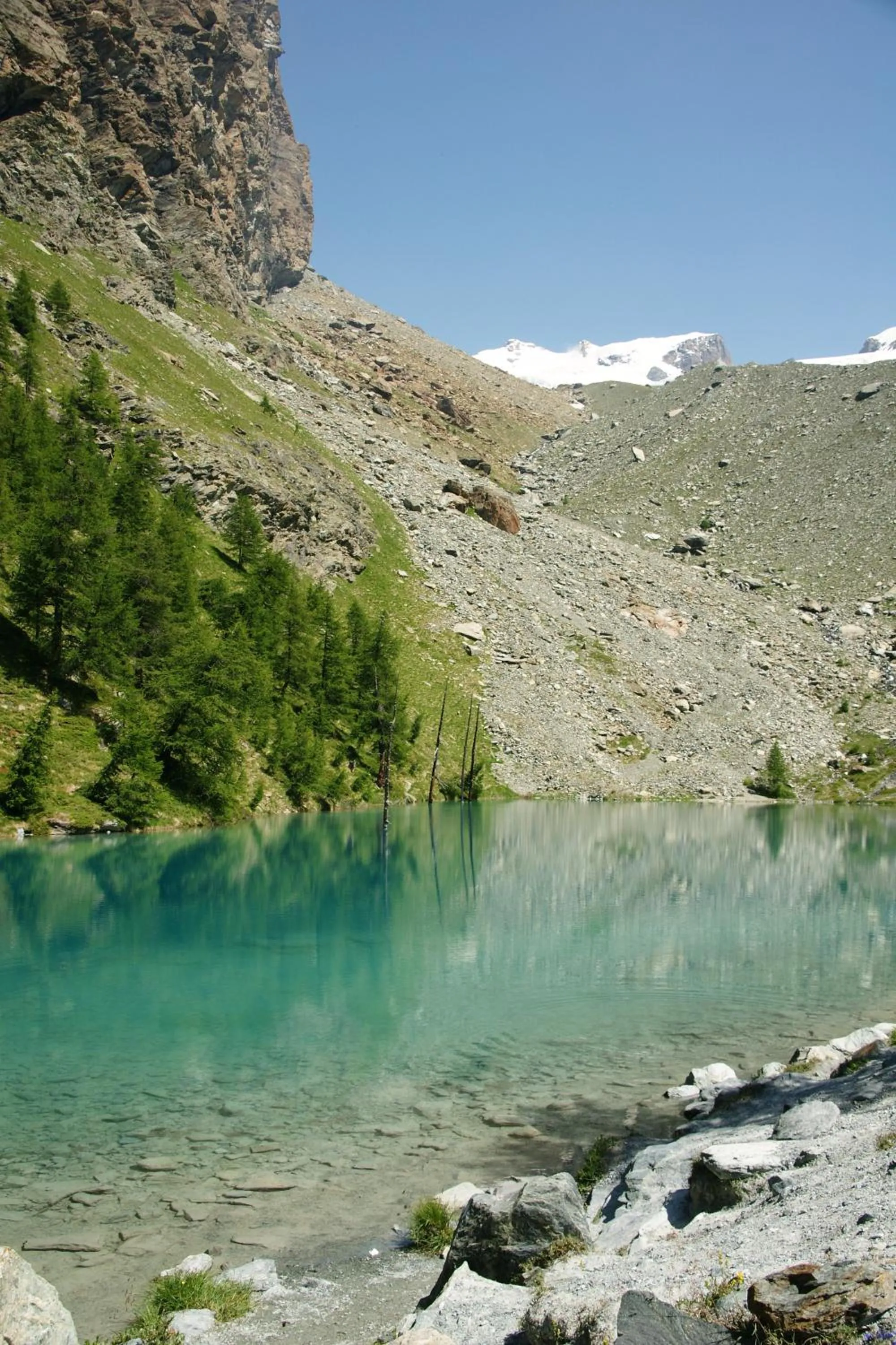 Summer in Hotel Le Petit Abri