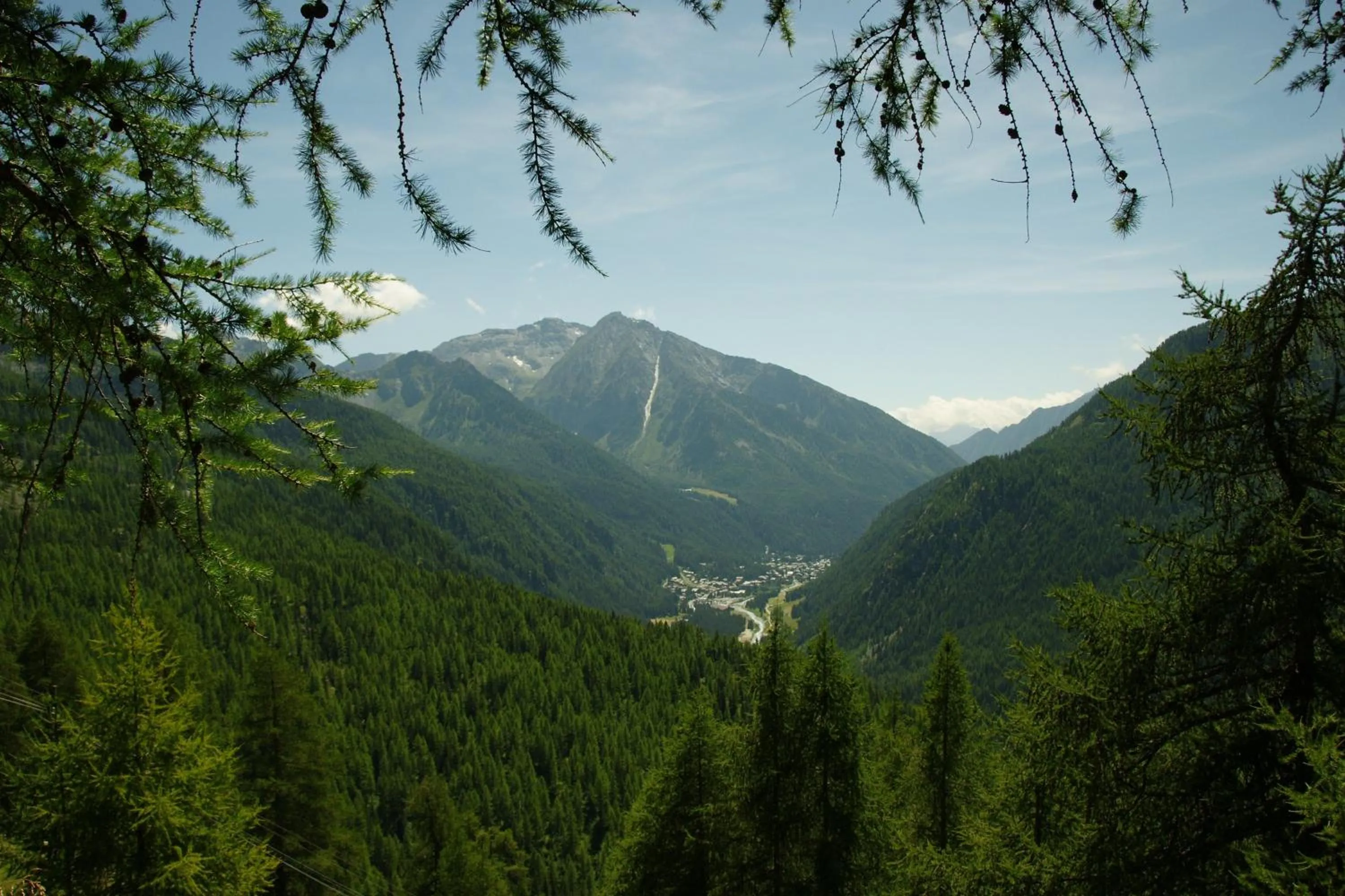 Summer in Hotel Le Petit Abri